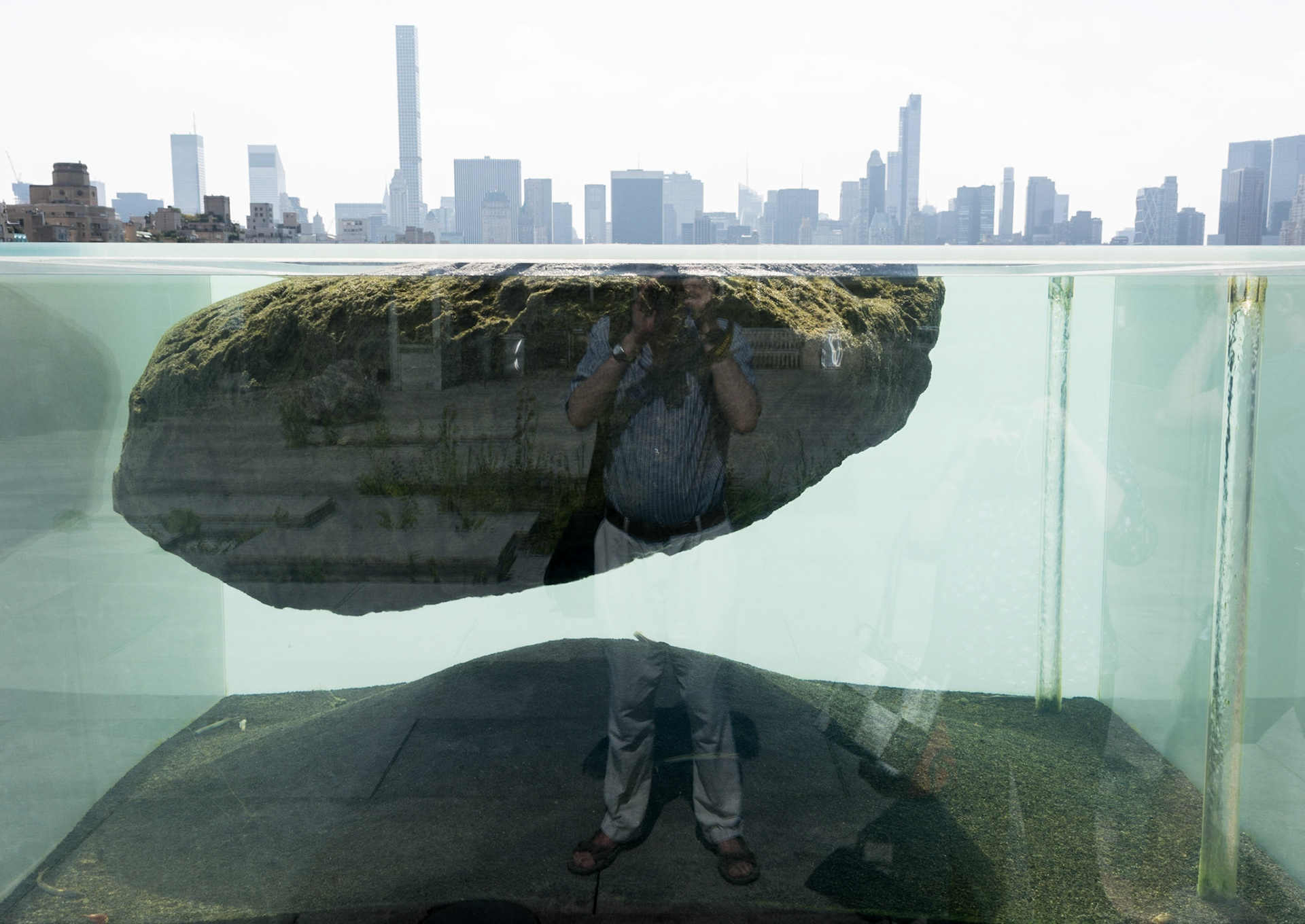 Pierre Huyghe's Roof Garden Commission, Metropolitan Museum of Art, New York, 2015