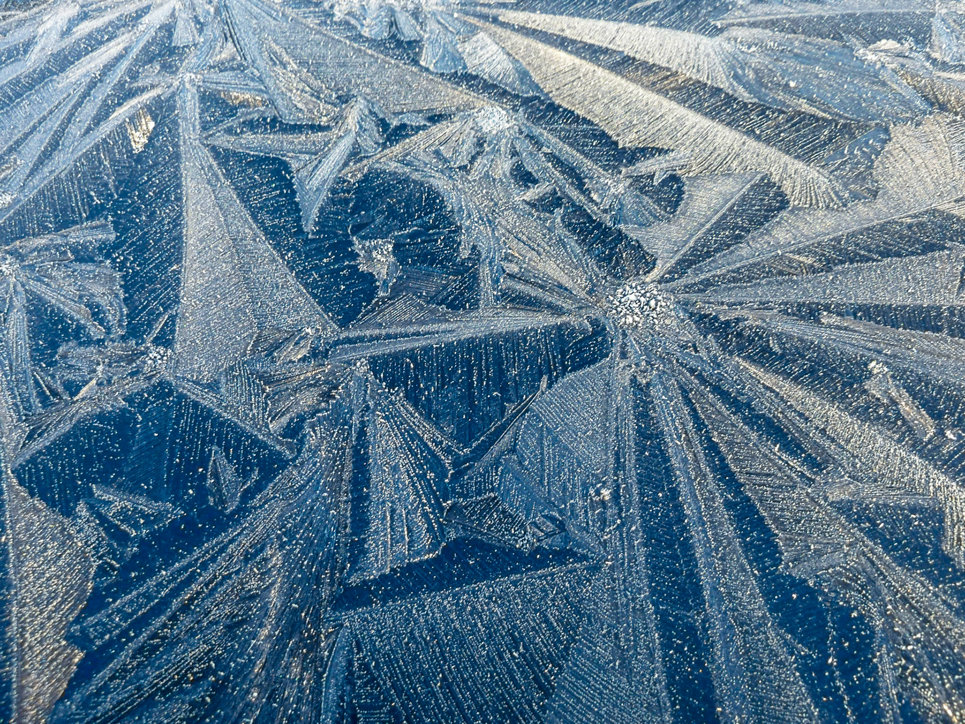 Frostscape, Broomieknowe, Lasswade, 2012
