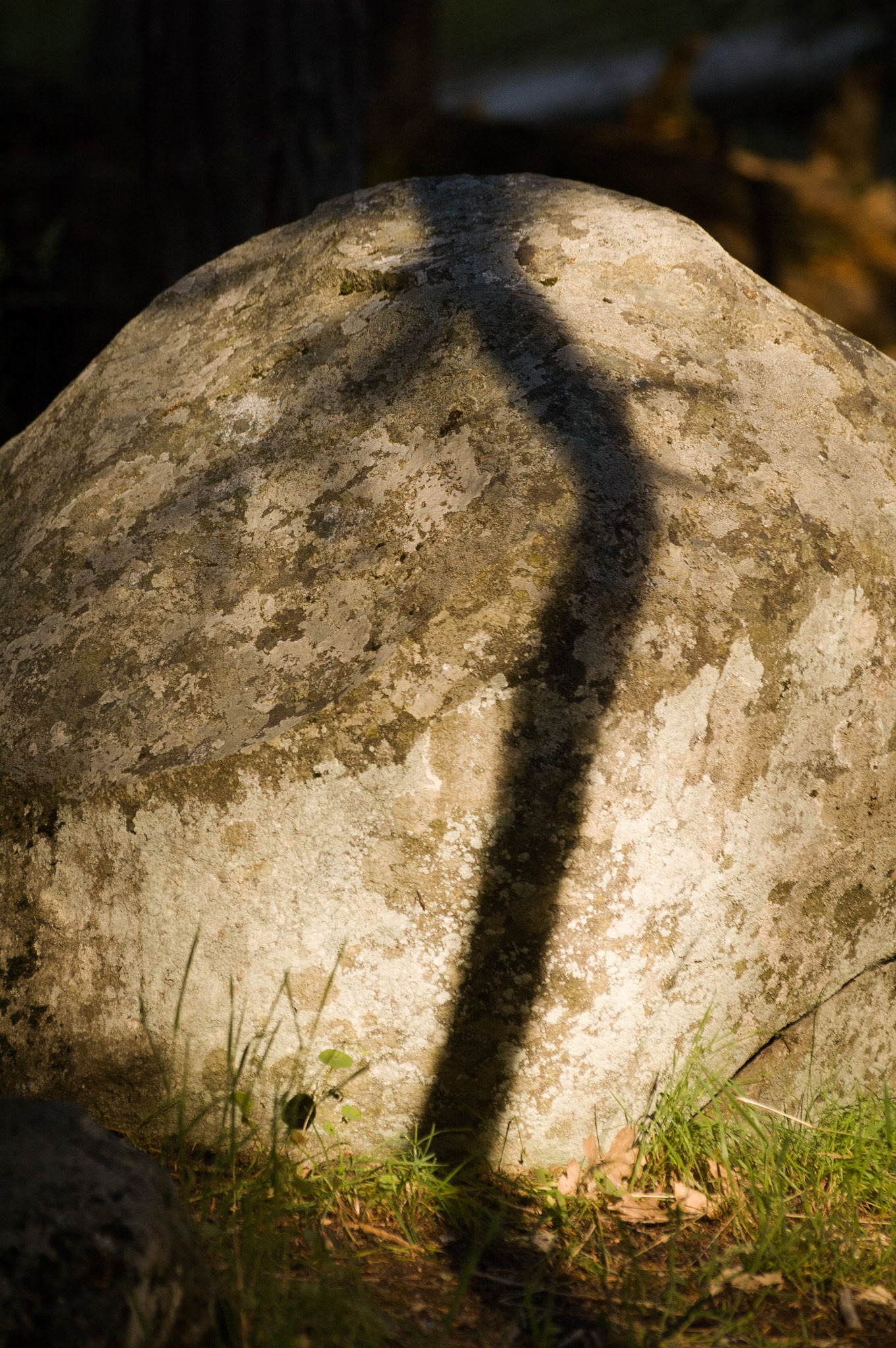 Shadow on rock, Yosemite National Park, 2005