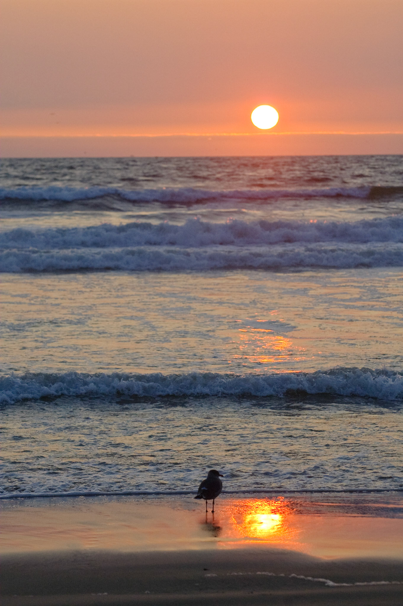 Sunset, Grover Beach, California, 2008