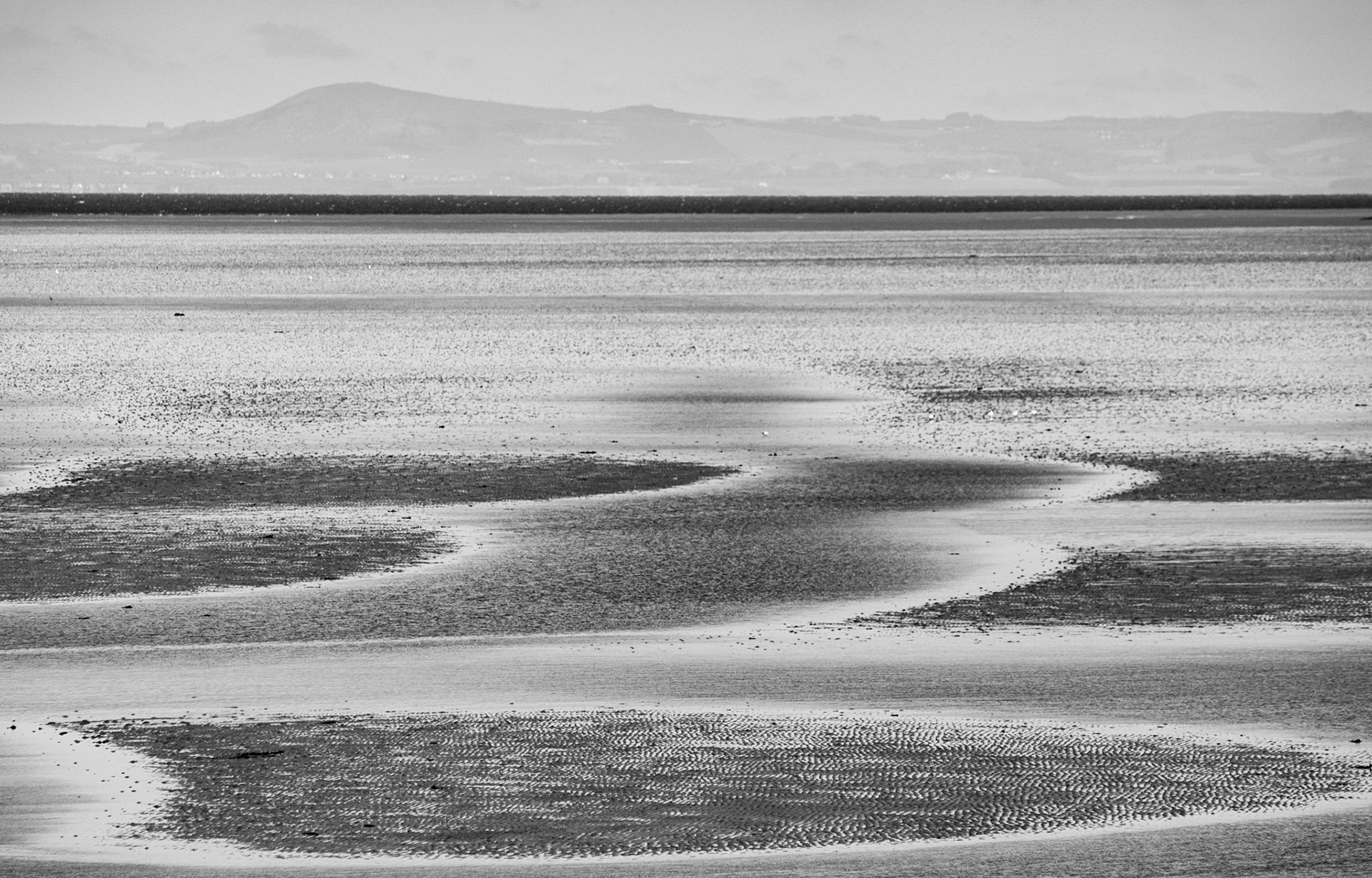 Longniddry Bents, East Lothian, 2014