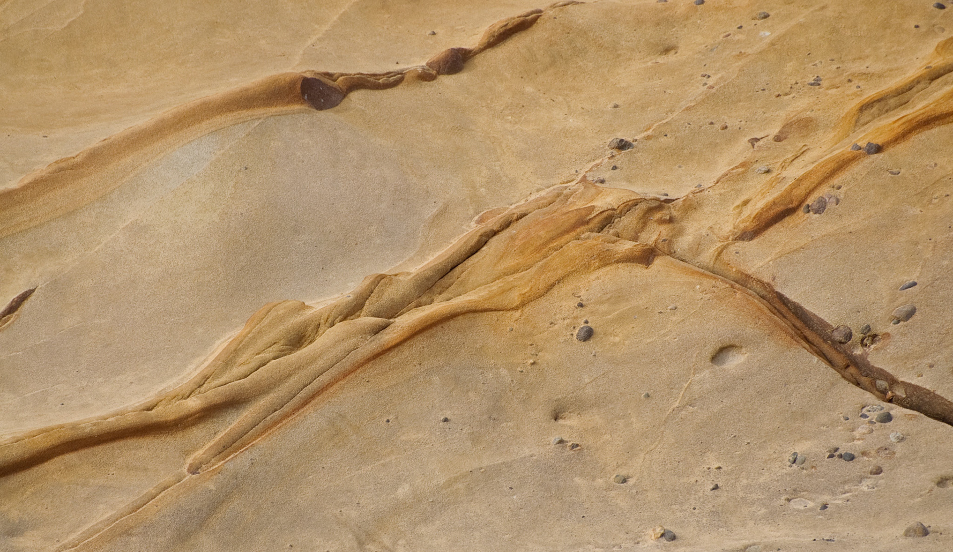 Rock forms, Point Lobos, California, 2009