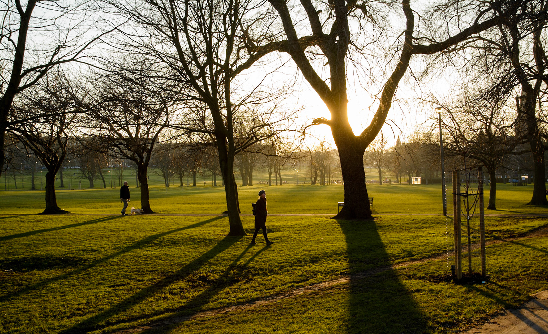 The Meadows, Edinburgh, 2015