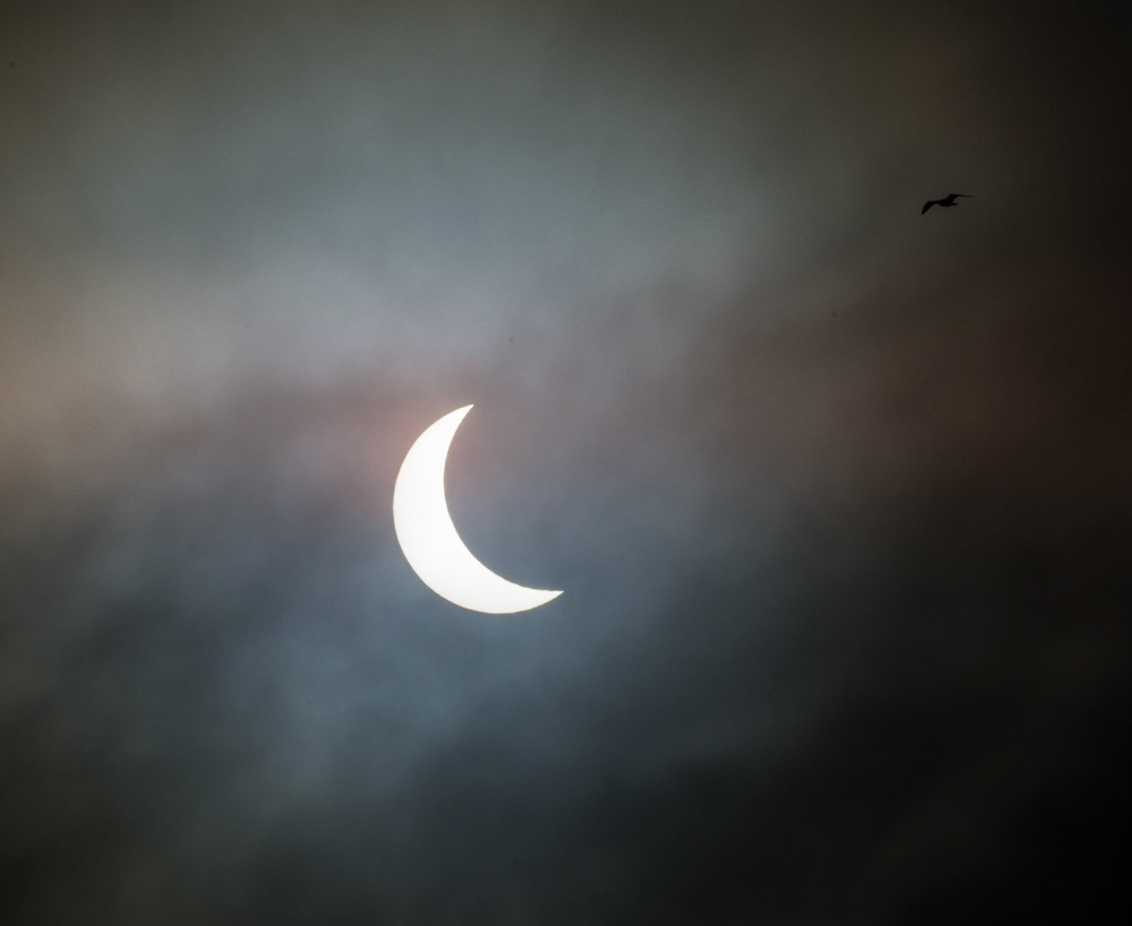Partial Solar Eclipse, Lasswade, Midlothian, 2015