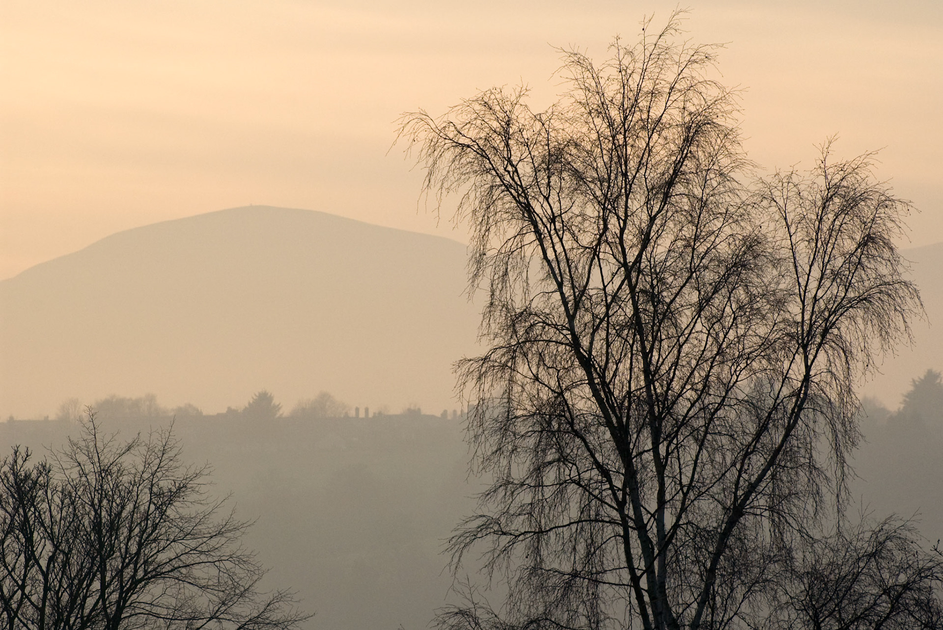 Pentland Hills, Midlothian, 2008