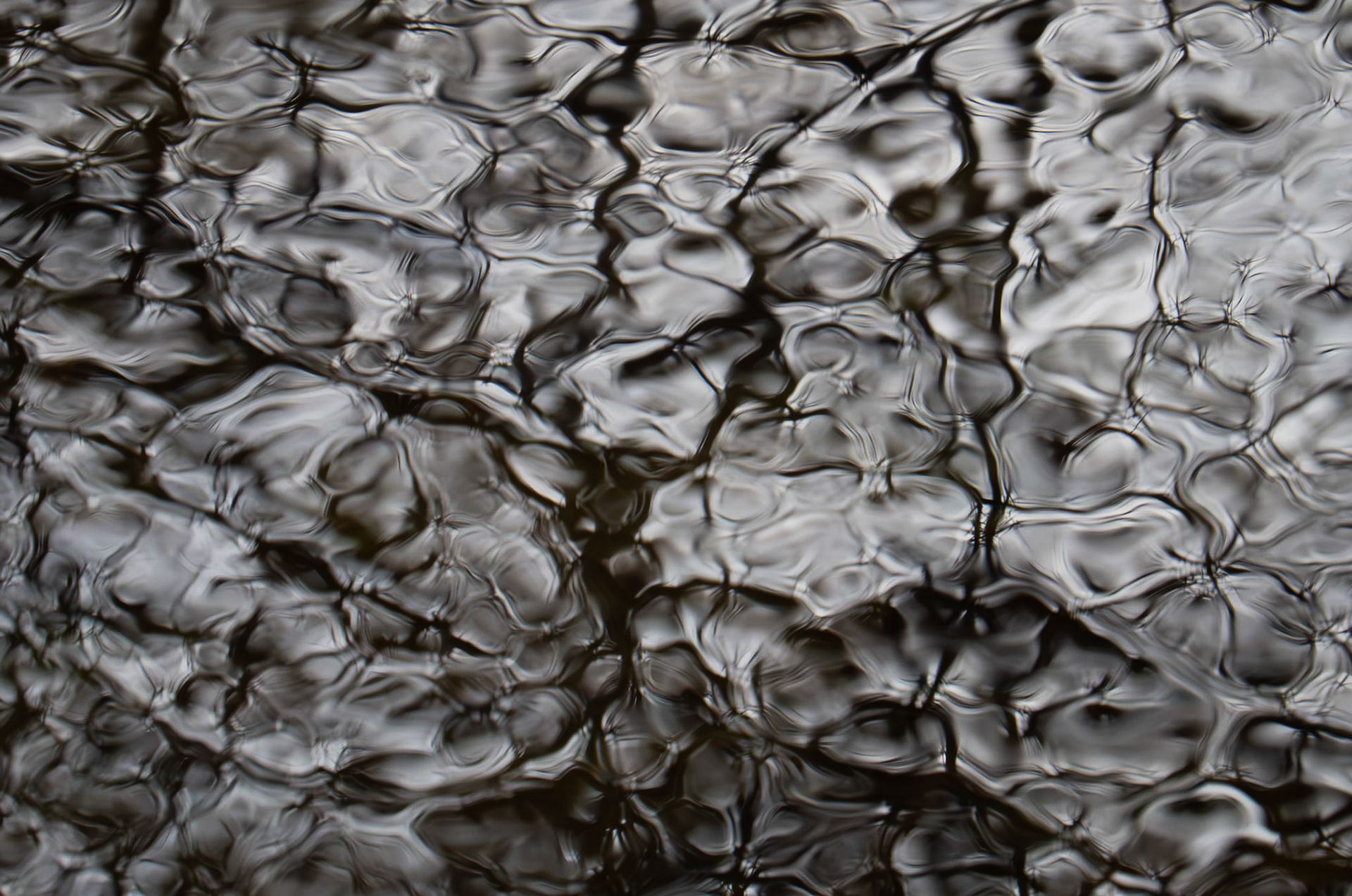 Water trough, Roslin, 2024