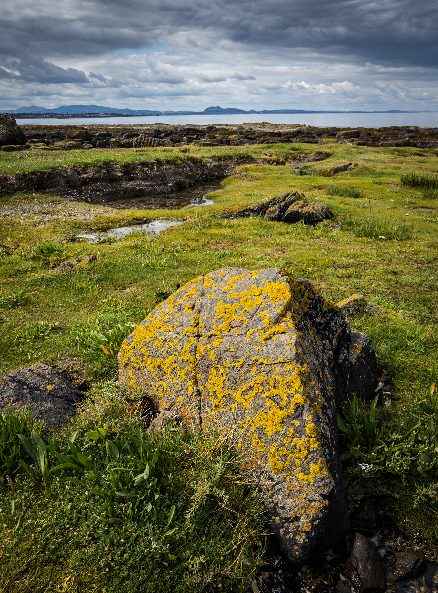 Longniddry Bents, 2023