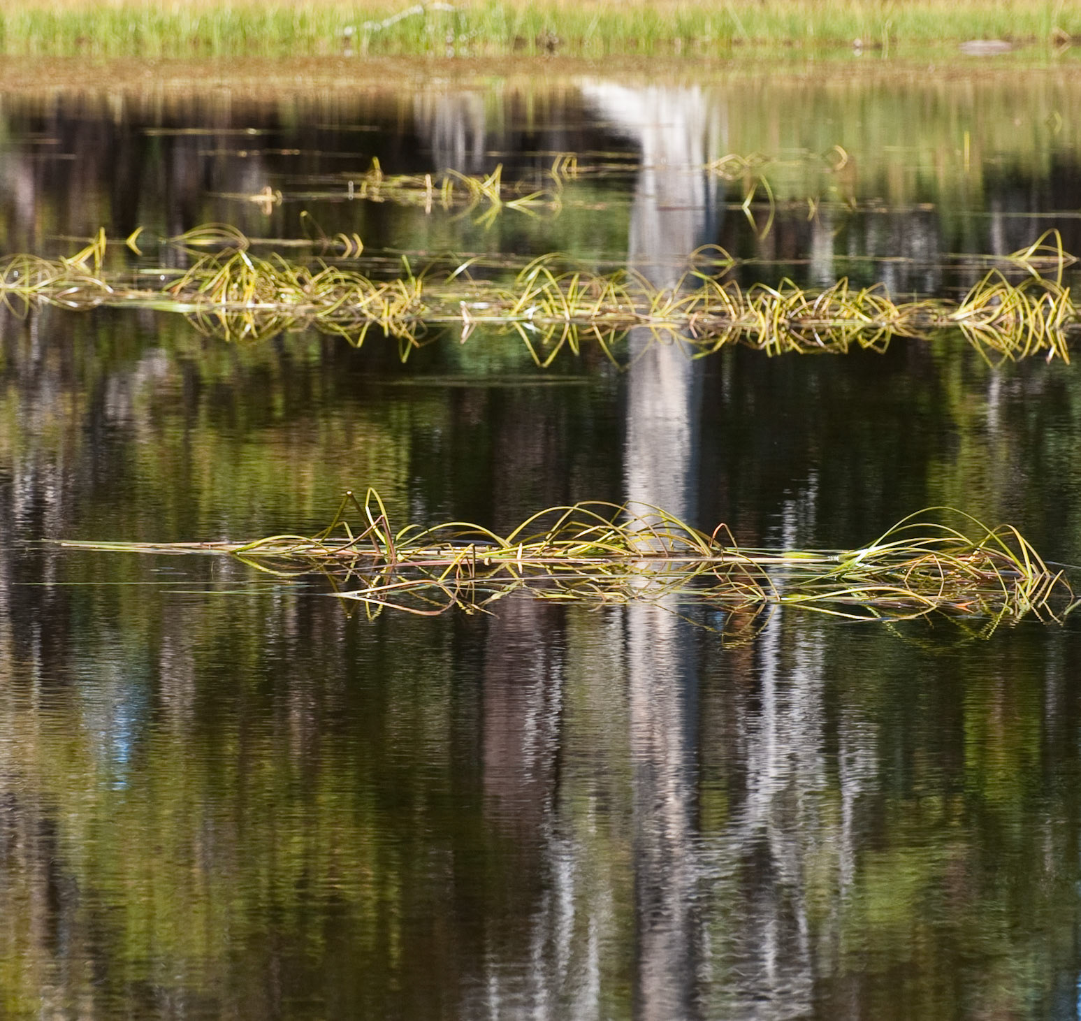 Siesta Lake, Yosemite National Park, 2009