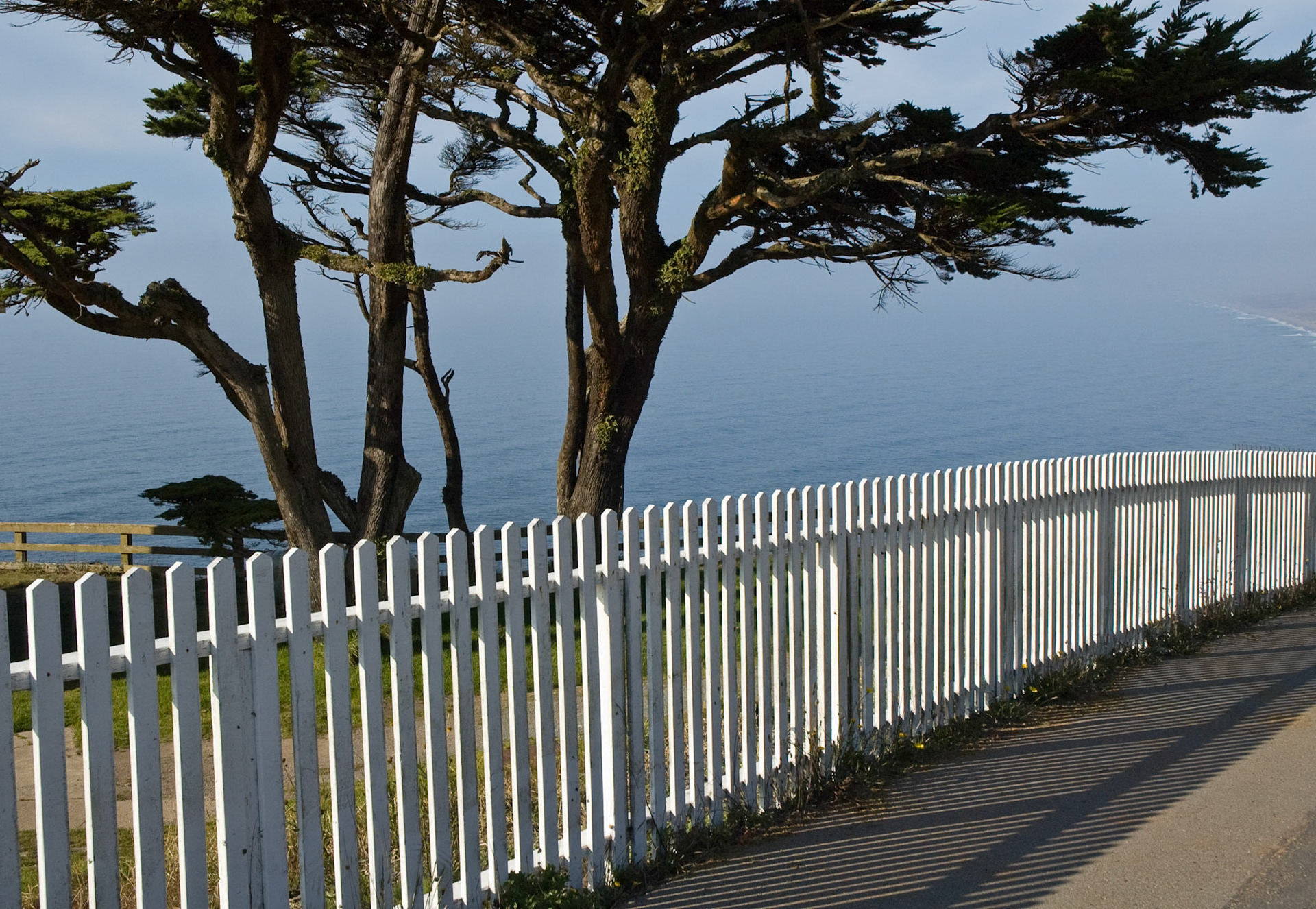 Picket Fence, Point Reyes National Seashore, September 2007