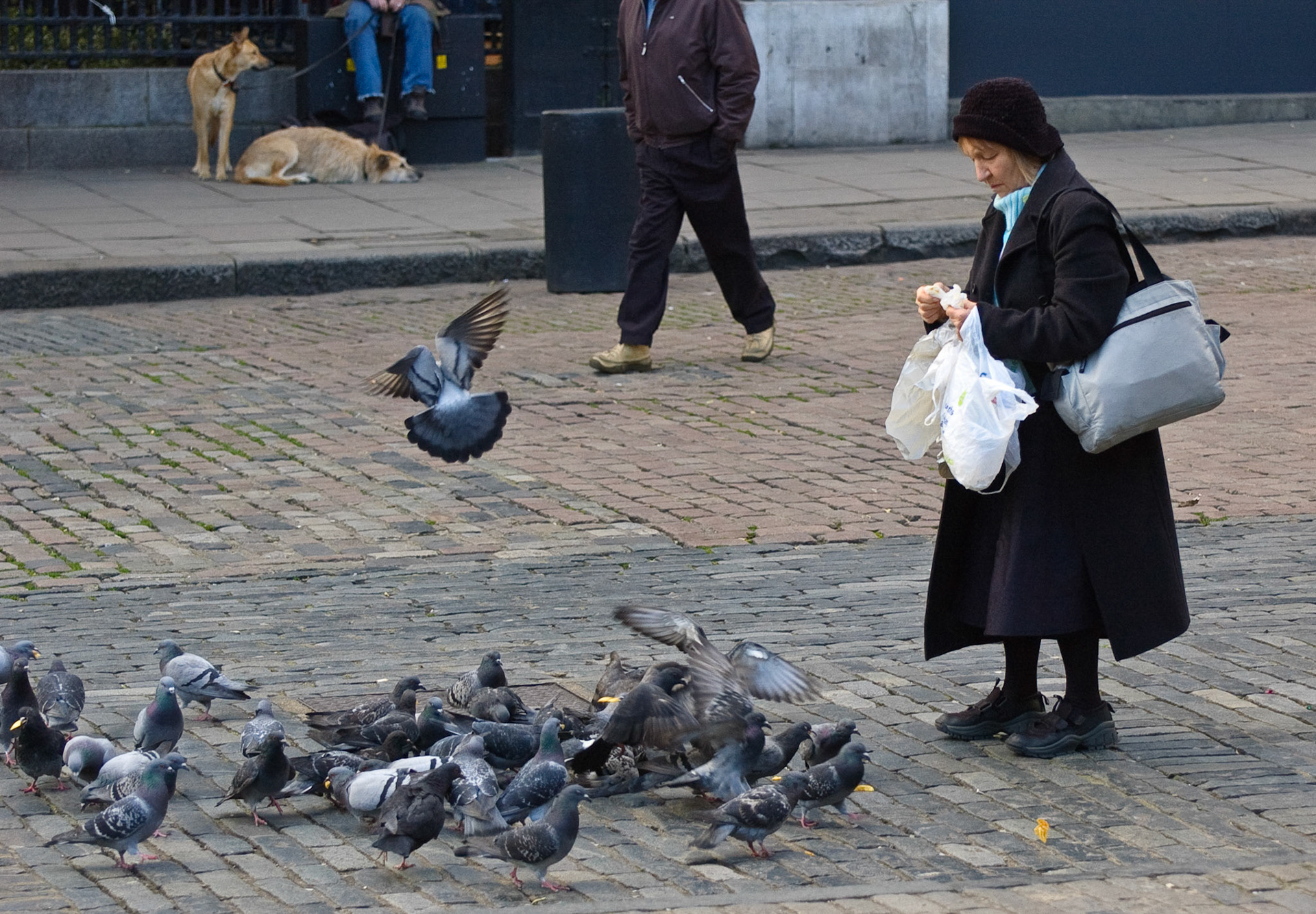 Covent Garden, London, 2008