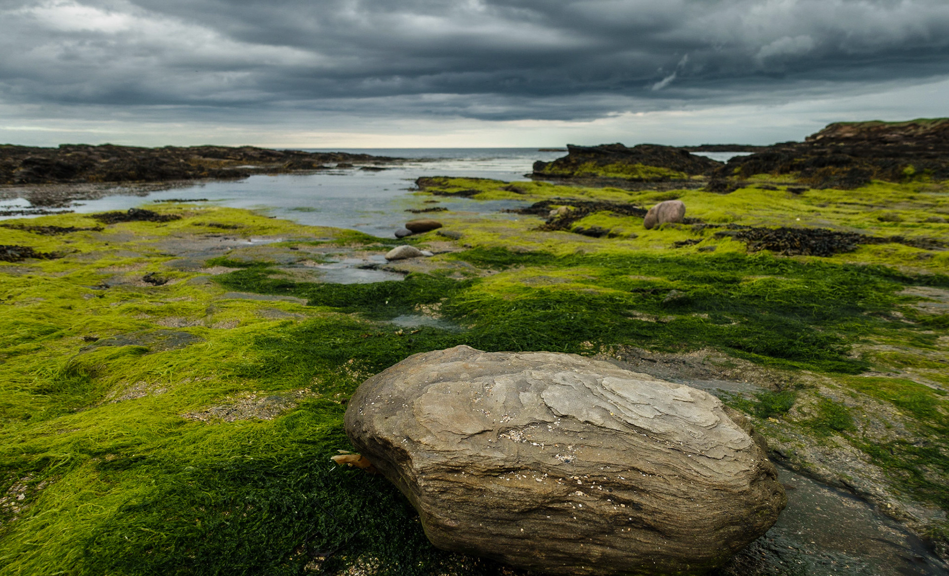 Beadnell 2022
