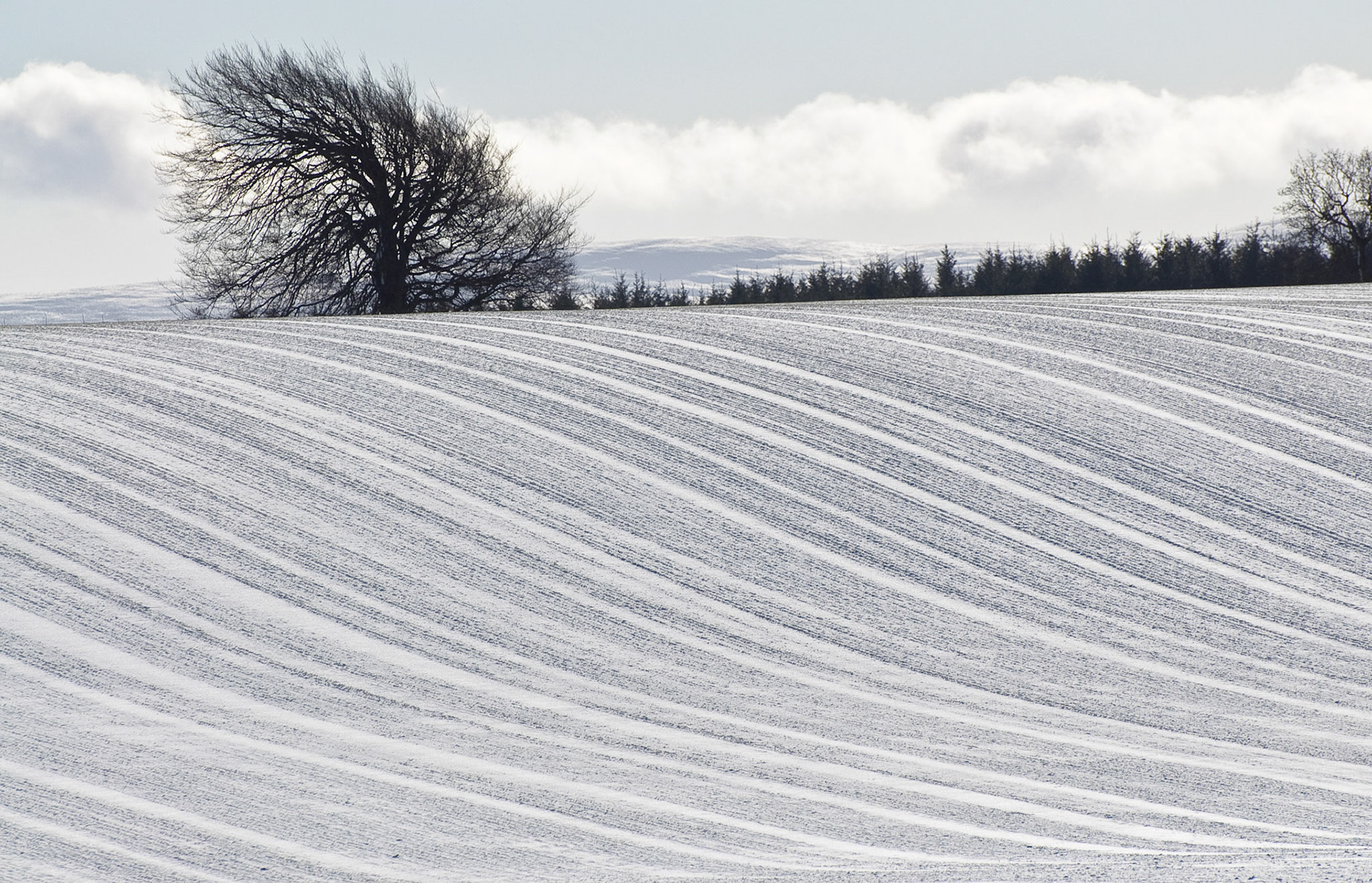 Bonnyrigg, Midlothian, 2009