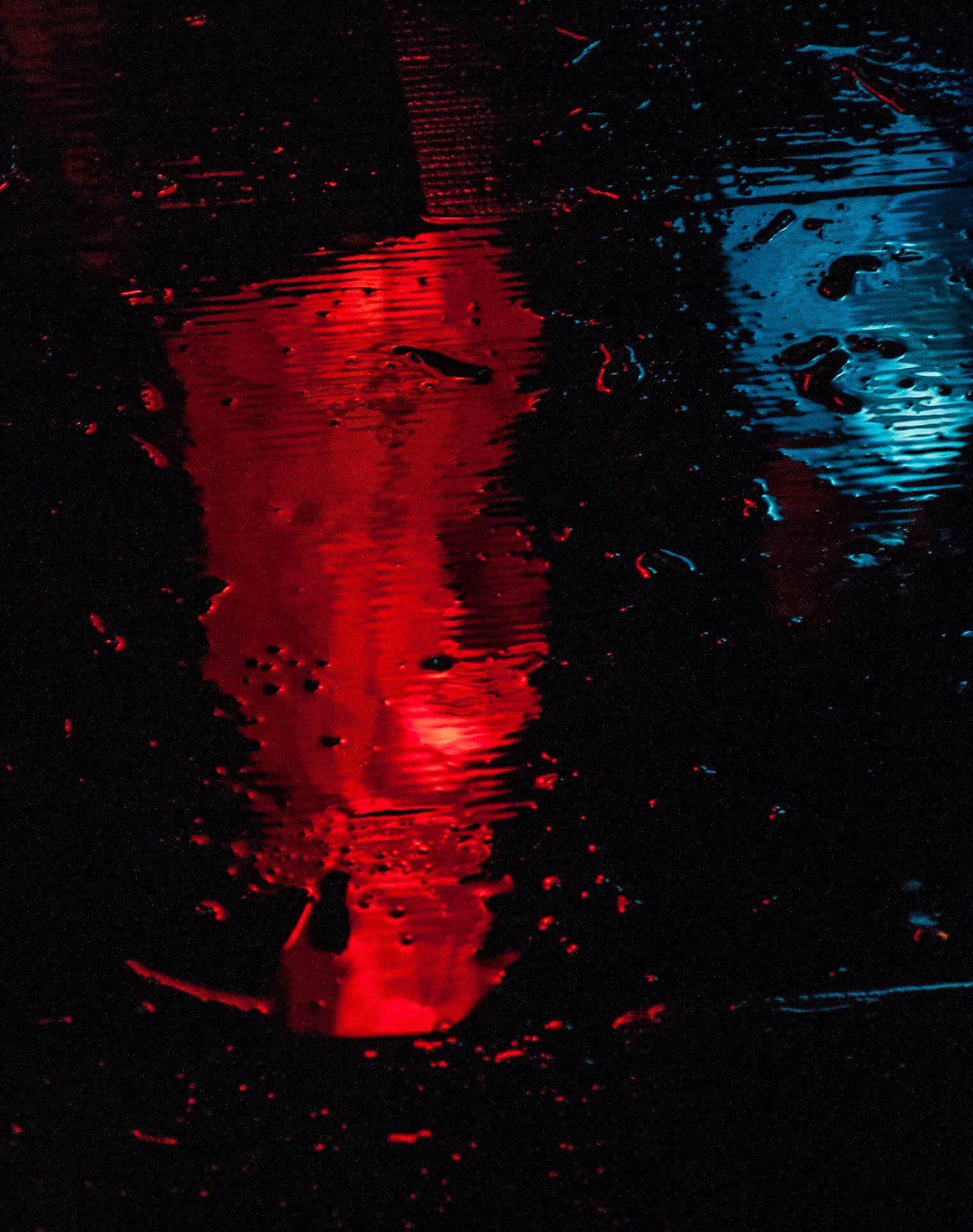 Lanterns of the Terracotta Warriors Exhibition, University of Edinburgh, 2014