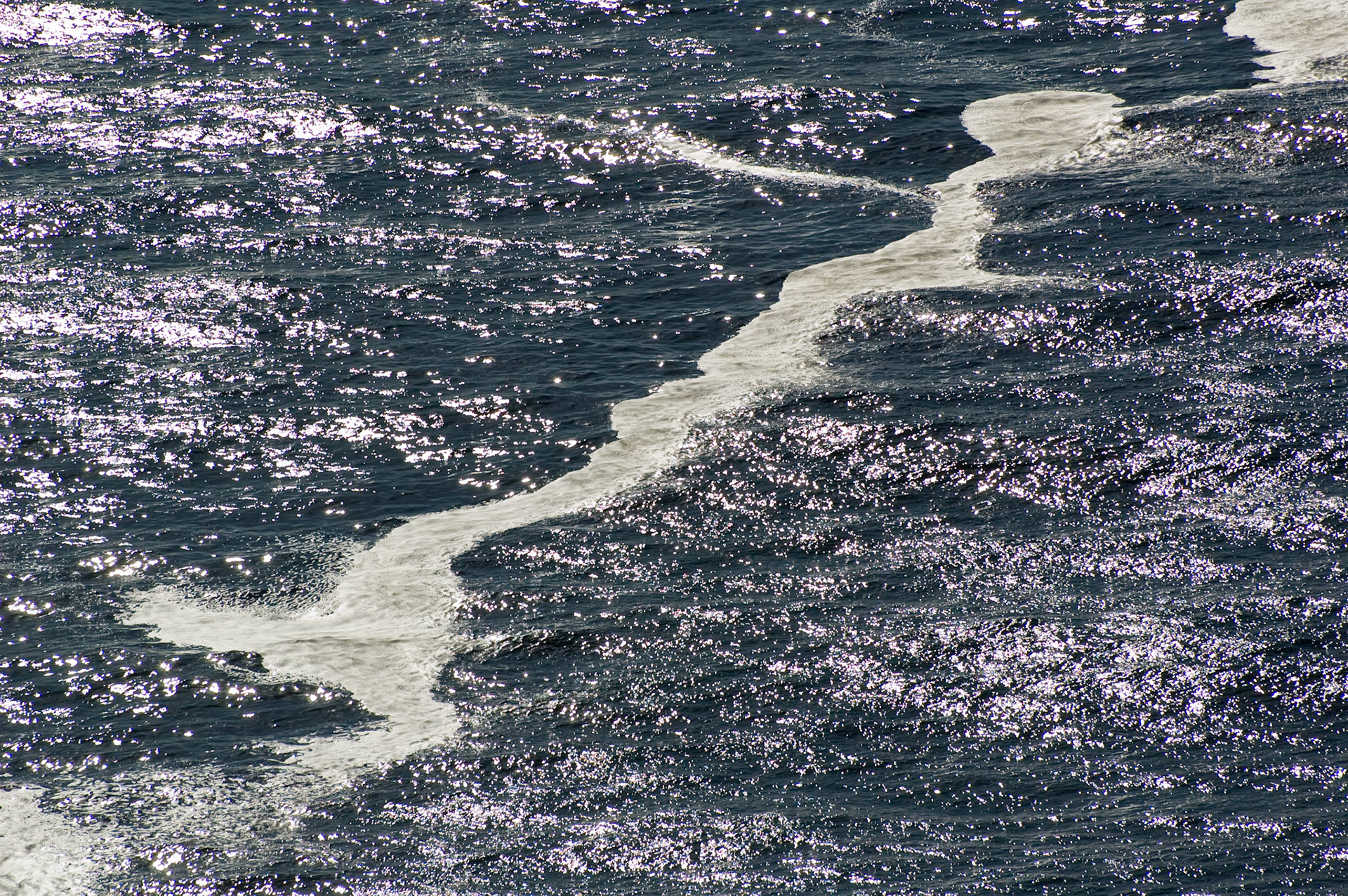 Point Reyes National Seashore, September 2007