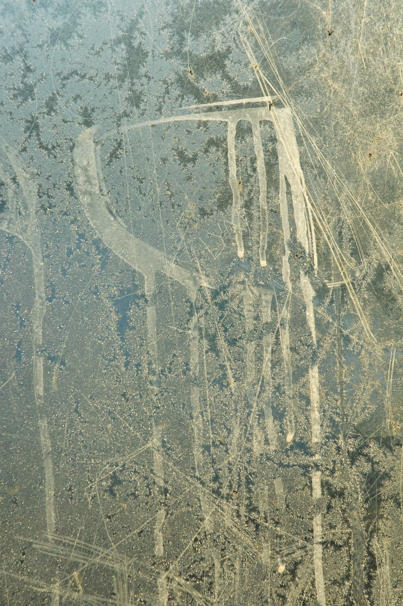 Bus shelter abstract, Polton, Midlothian, 2008