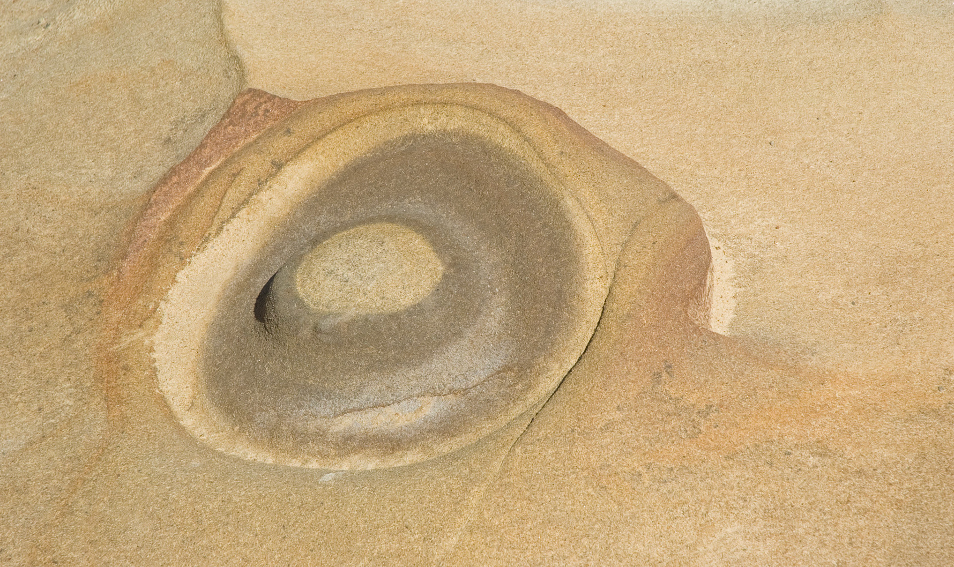 Rocks, Point Lobos, California, April 2007