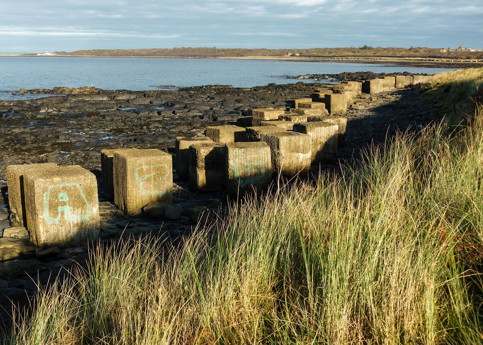WWII tank traps, Longniddry Bents, 2021