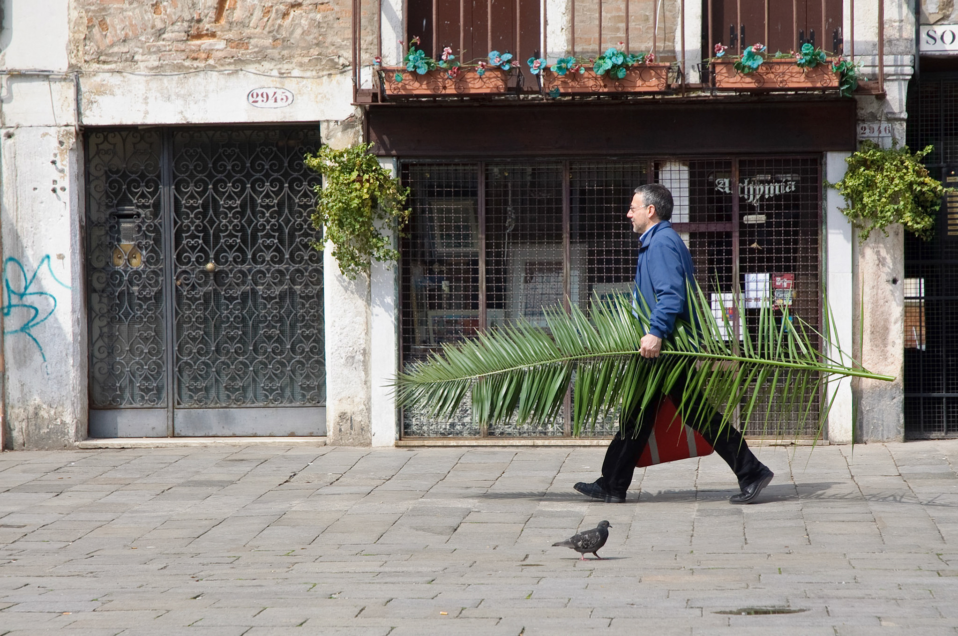 Palm Sunday, Venice, 2009