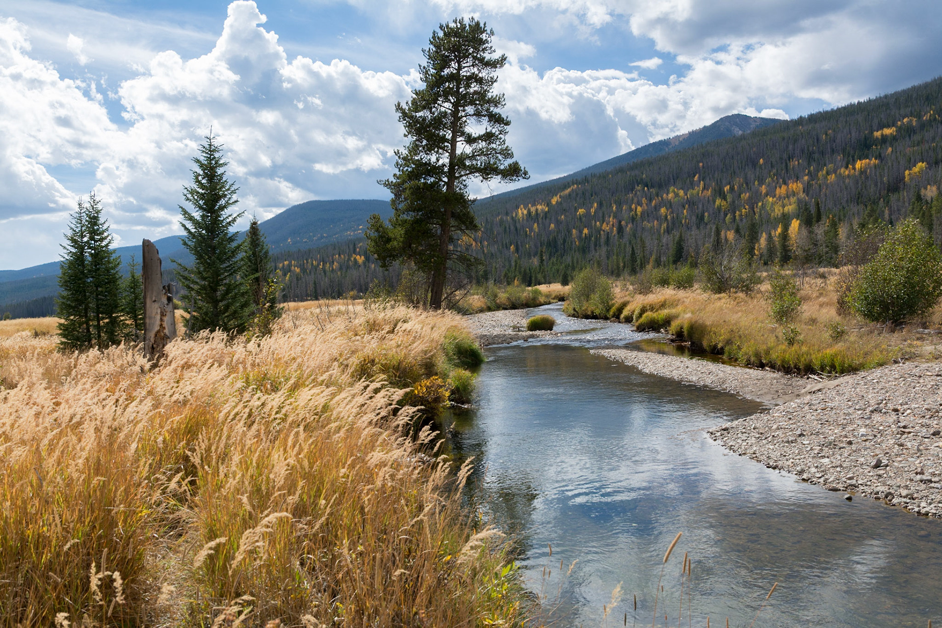 Colorado River, Rocky Mountain National Park, Colorado, 2015