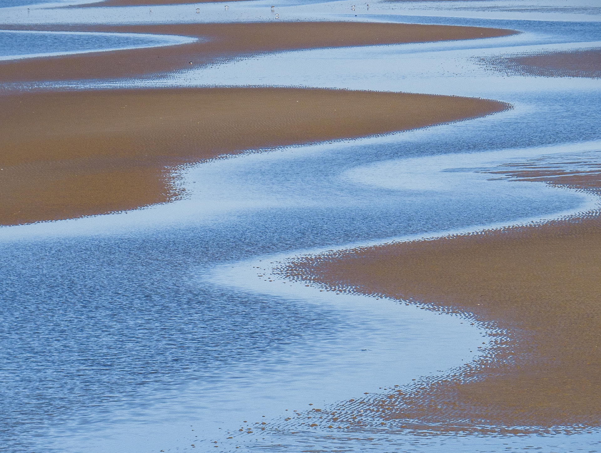 Longniddry Bents, 2022