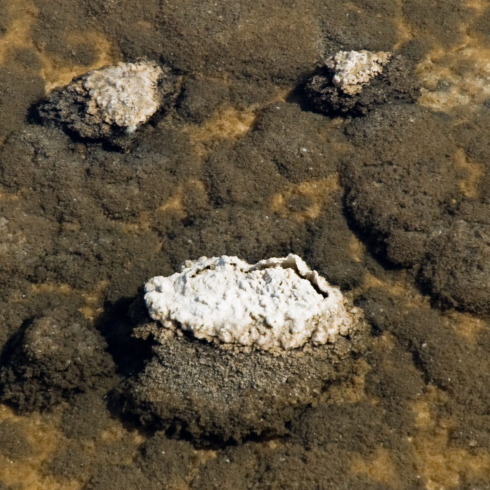 Badwater, Death Valley National Park, California, April 2007