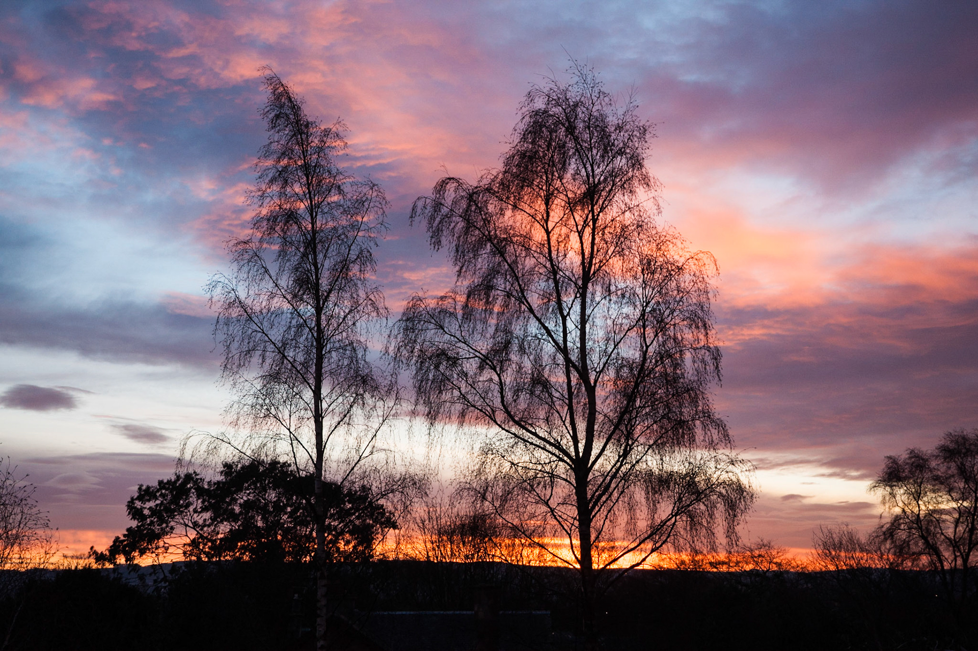 Sunrise, Broomieknowe, Lasswade, Midlothian, 2014