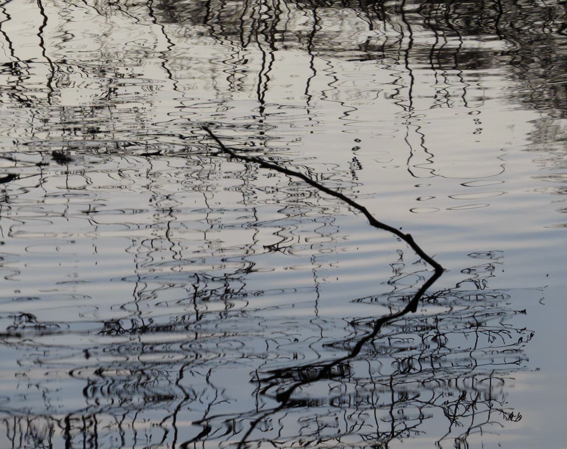 Straiton Pond, 2024