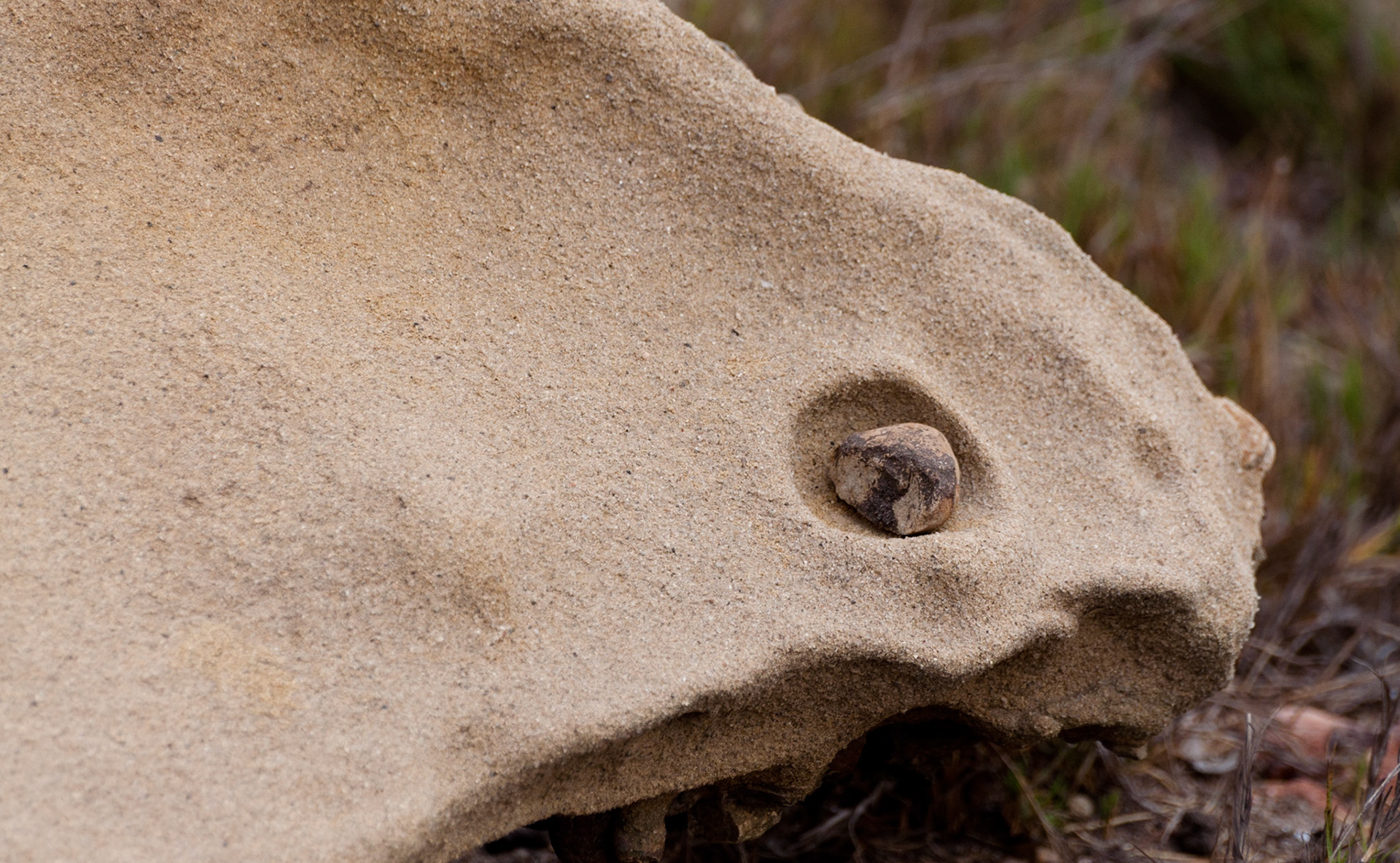 Rock form, Point Lobos, California, 2010