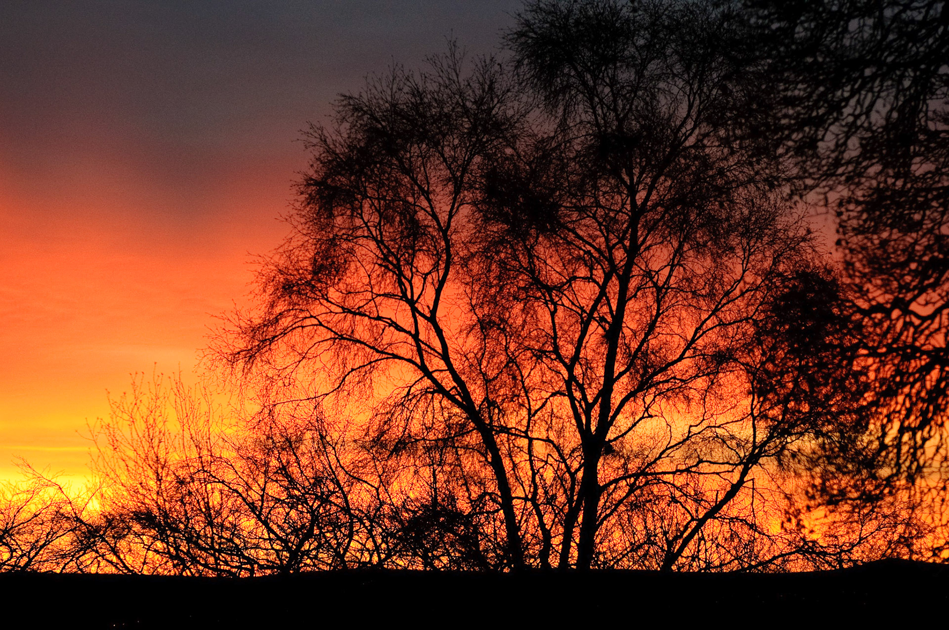 Sunrise, Janebank, 2009