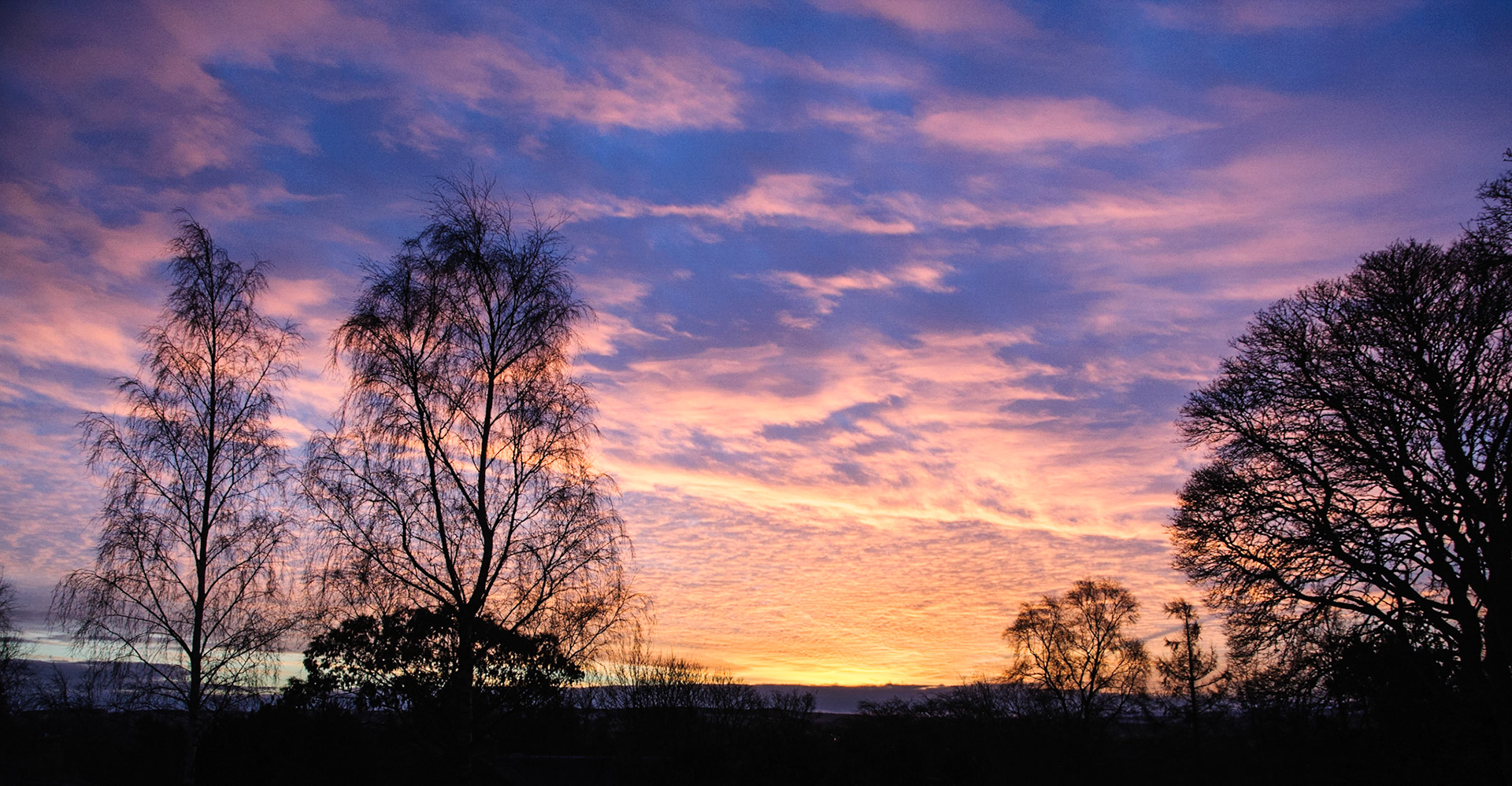 Sunrise, Broomieknowe, Lasswade, Midlothian, 2015