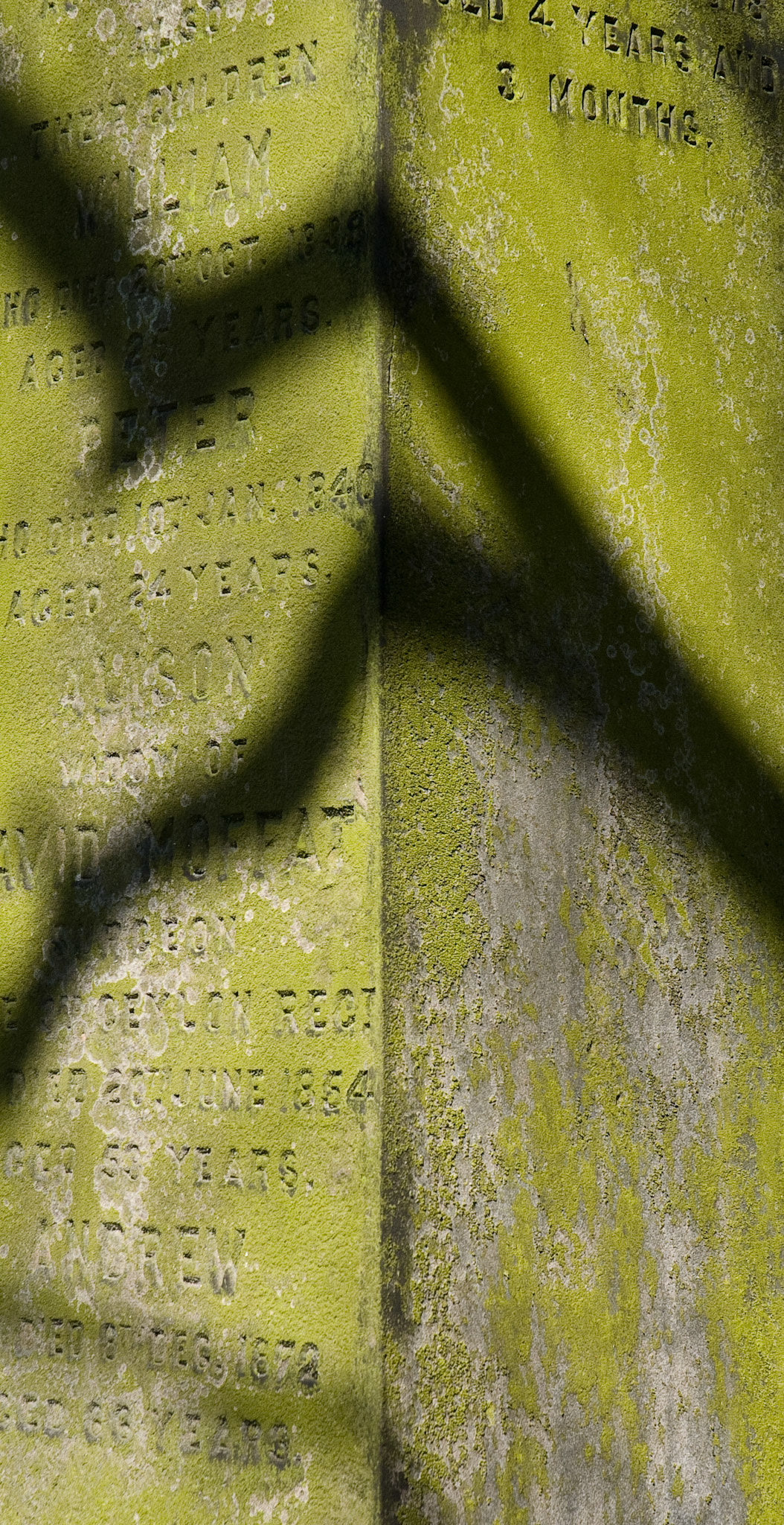 St Cuthbert's Churchyard, Edinburgh, 2008
