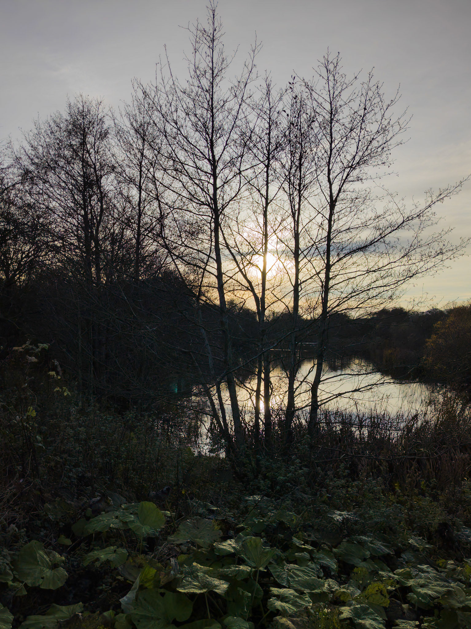Straiton Pond, 2024