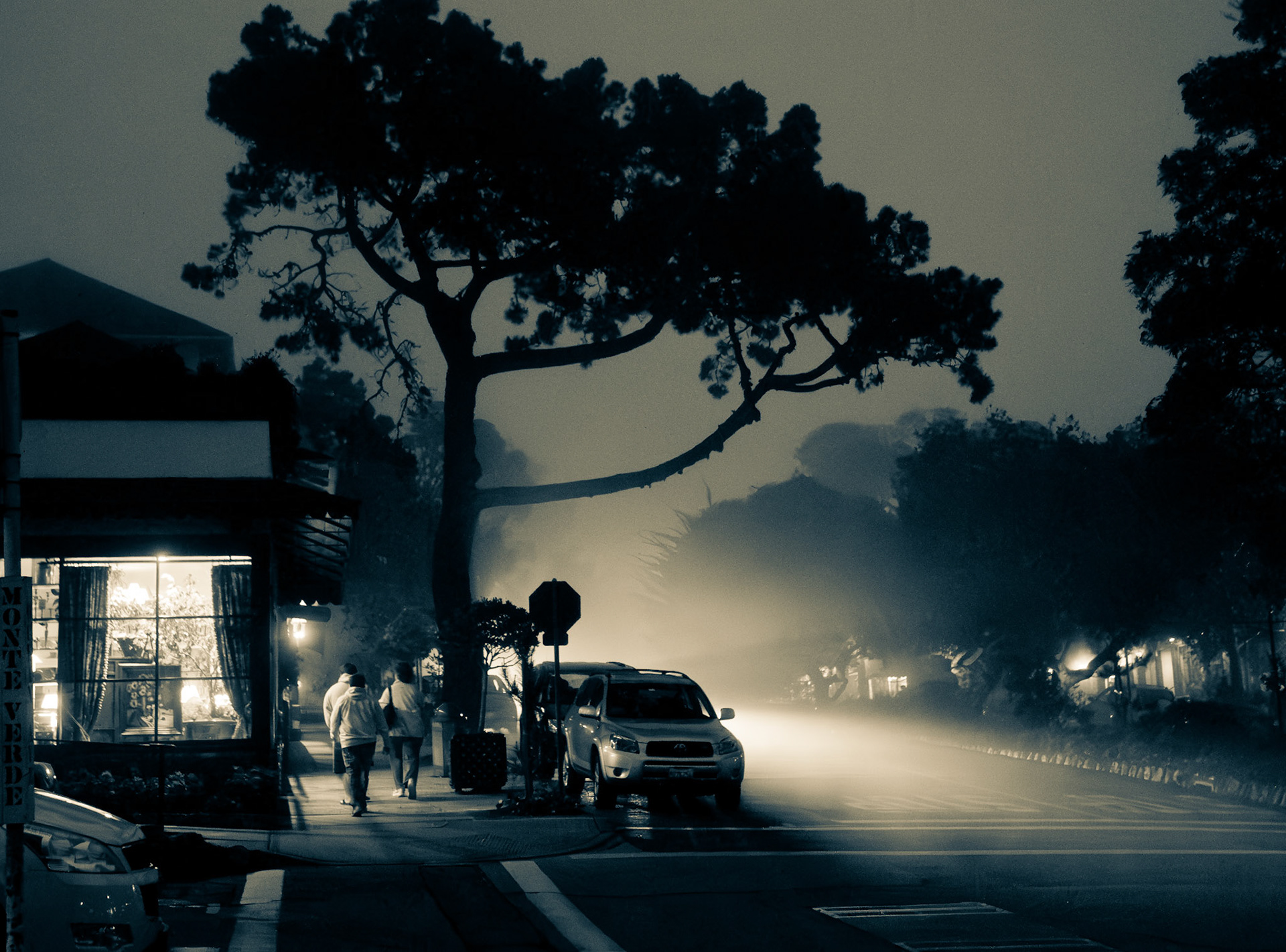 Carmel, California, 2011