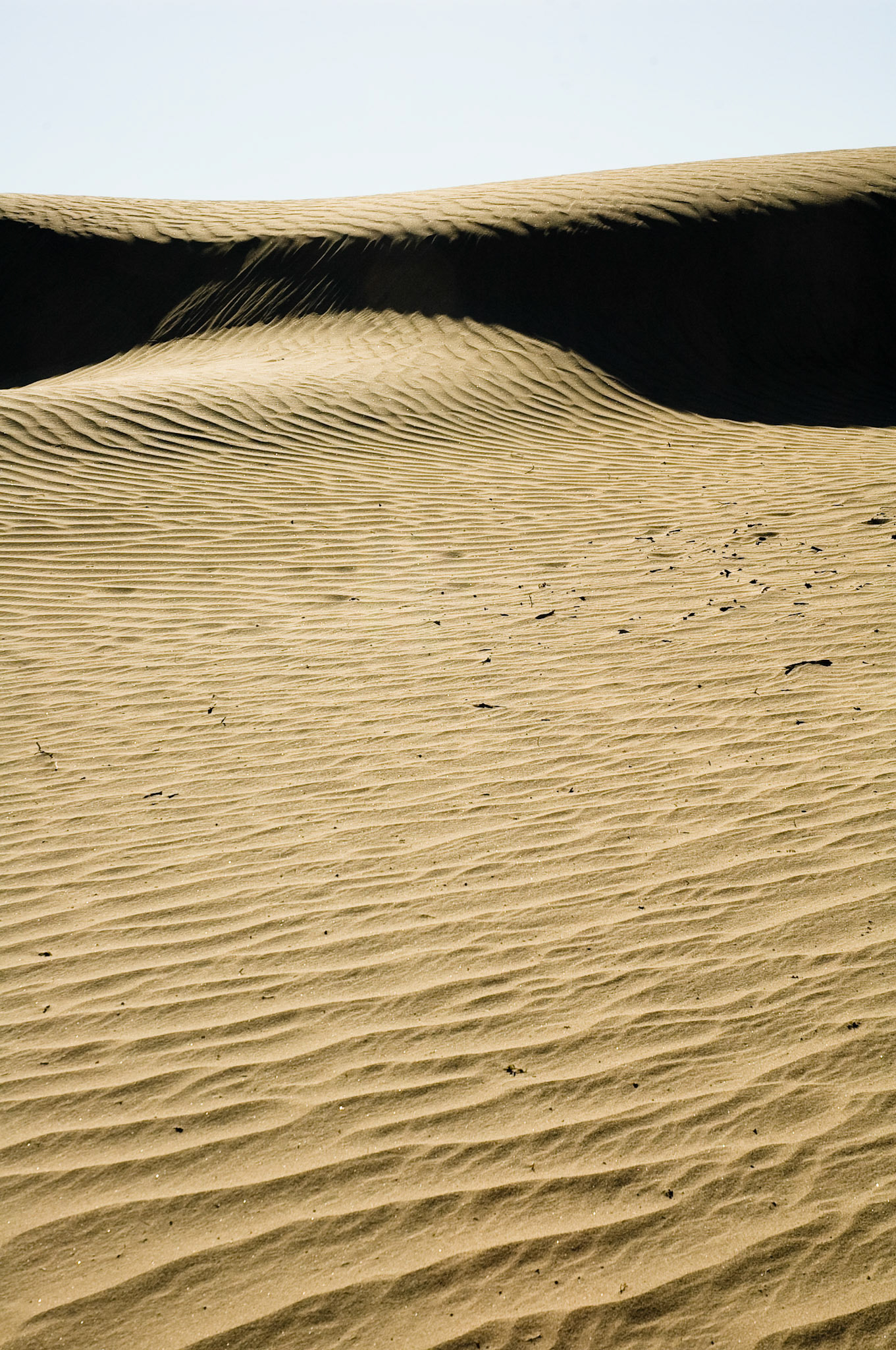 Sand Dunes, Death Valley National Park, California, April 2007