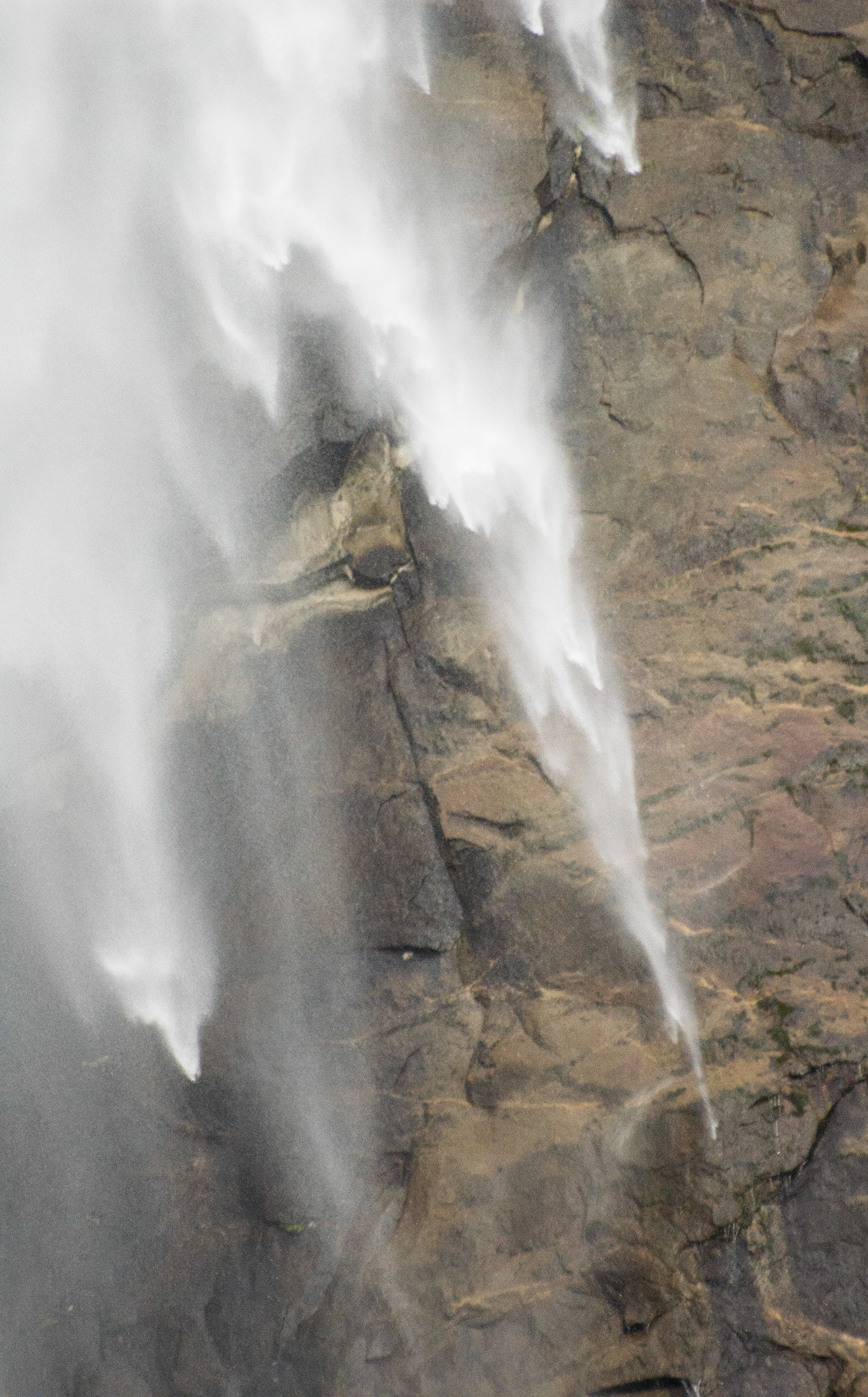 Yosemite National Park, 2004