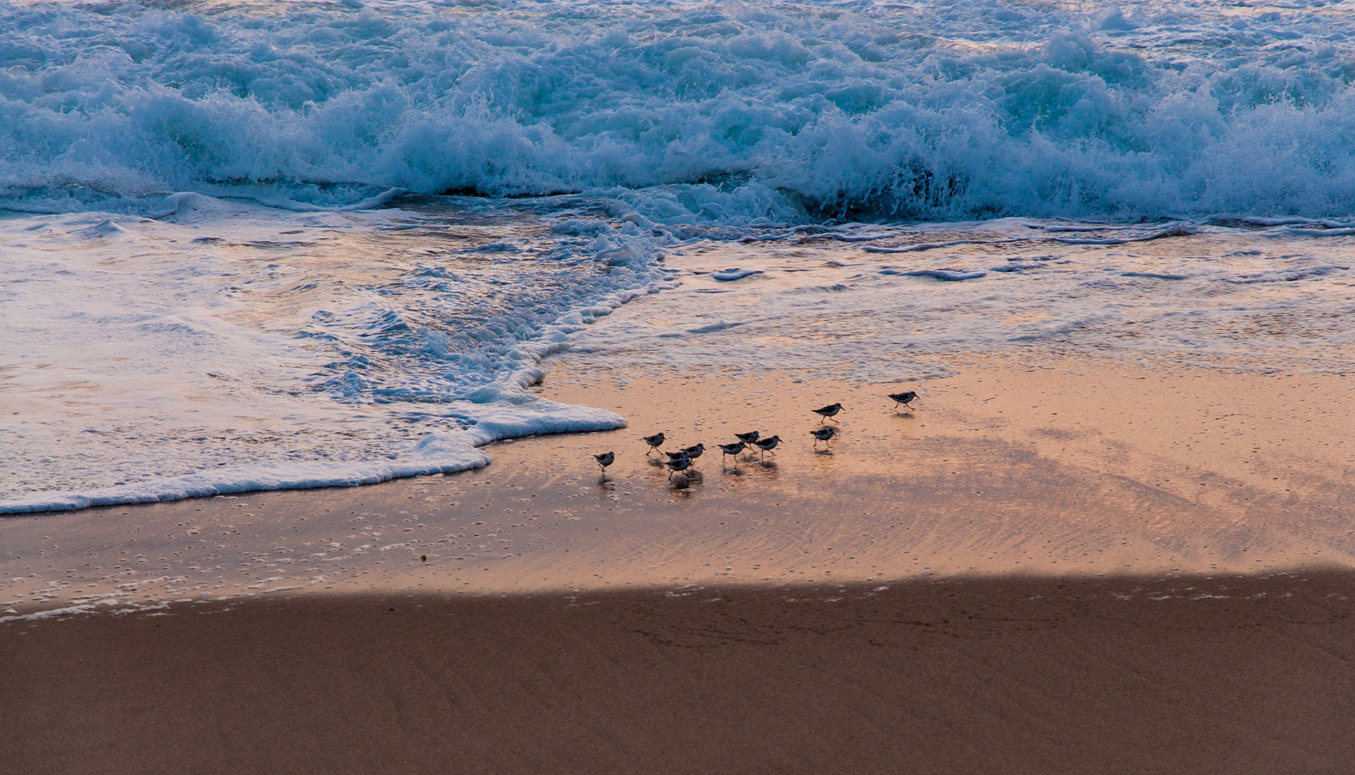 Marina, California, 2012
