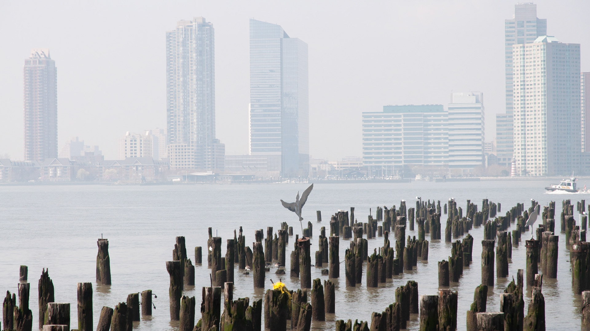 Bird sculptures, remains of pier, Hudson River Park, New York, 2012