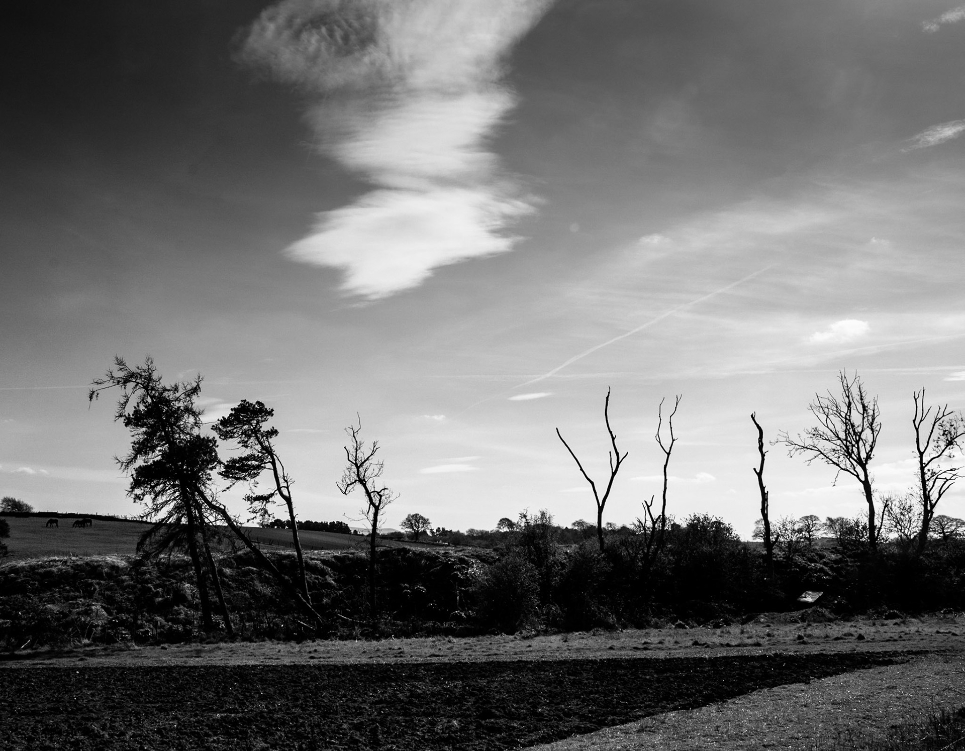 Bonnyrigg, Midlothian, 2014