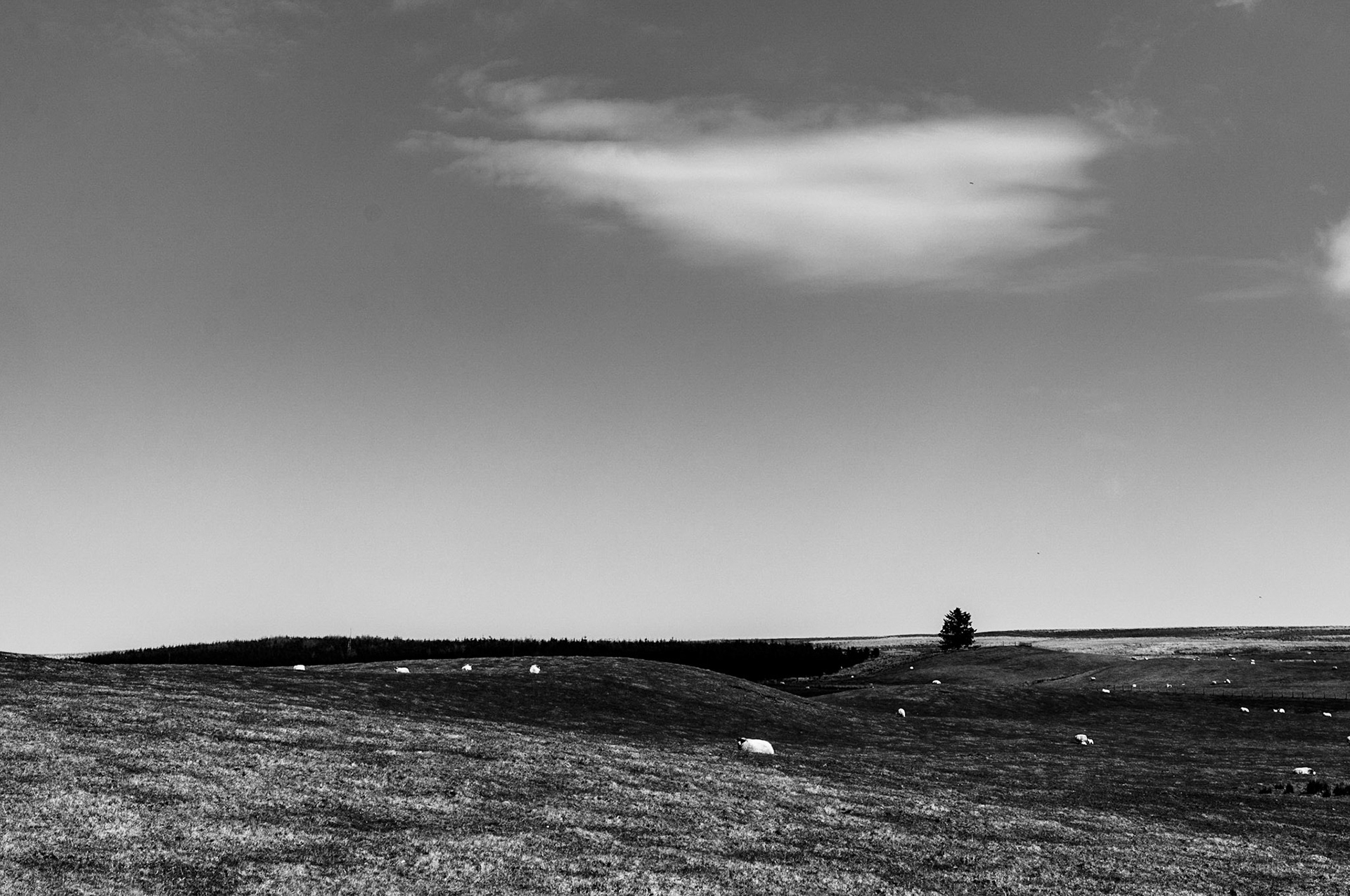 Scottish Borders, 2014
