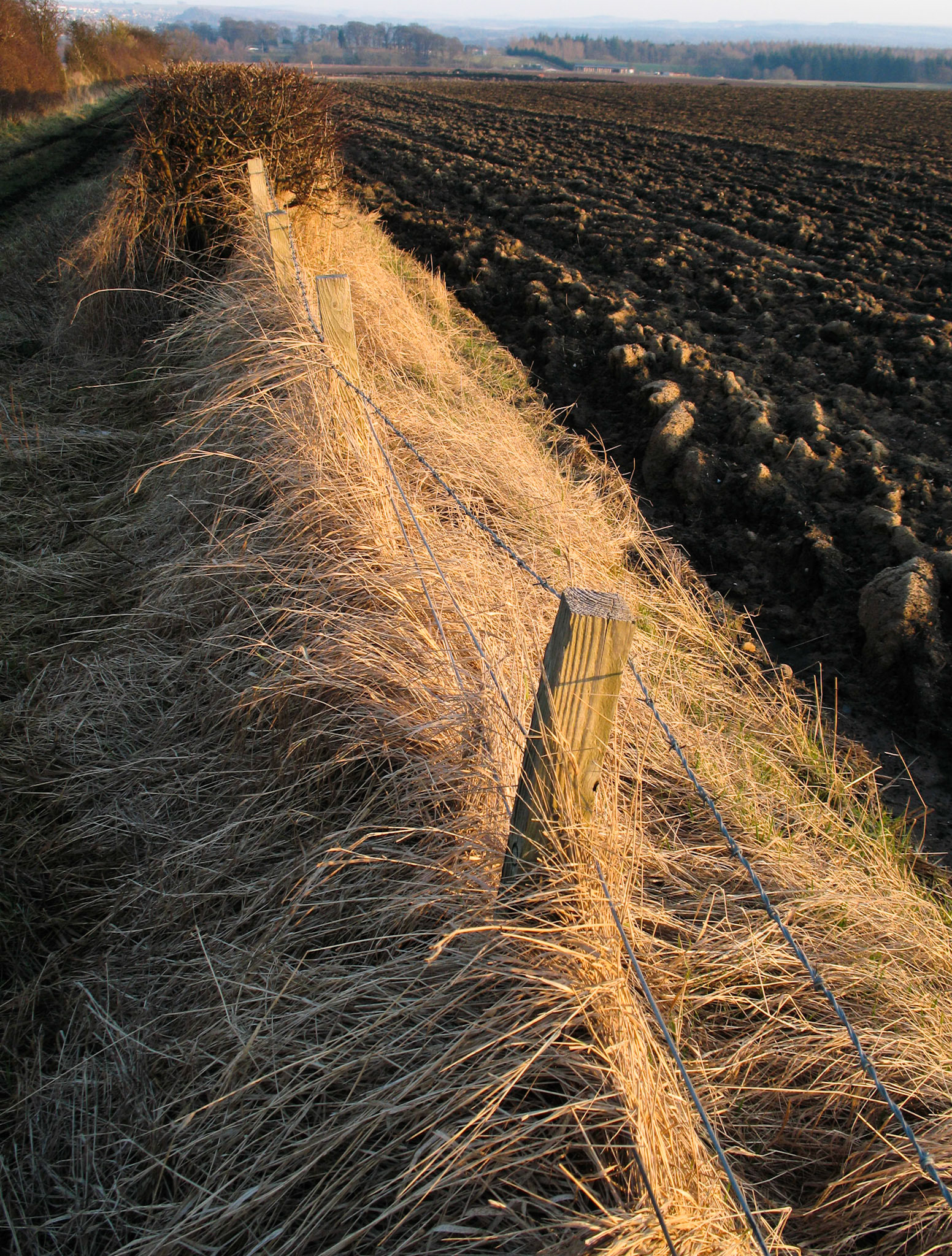 Midlothian, 2008