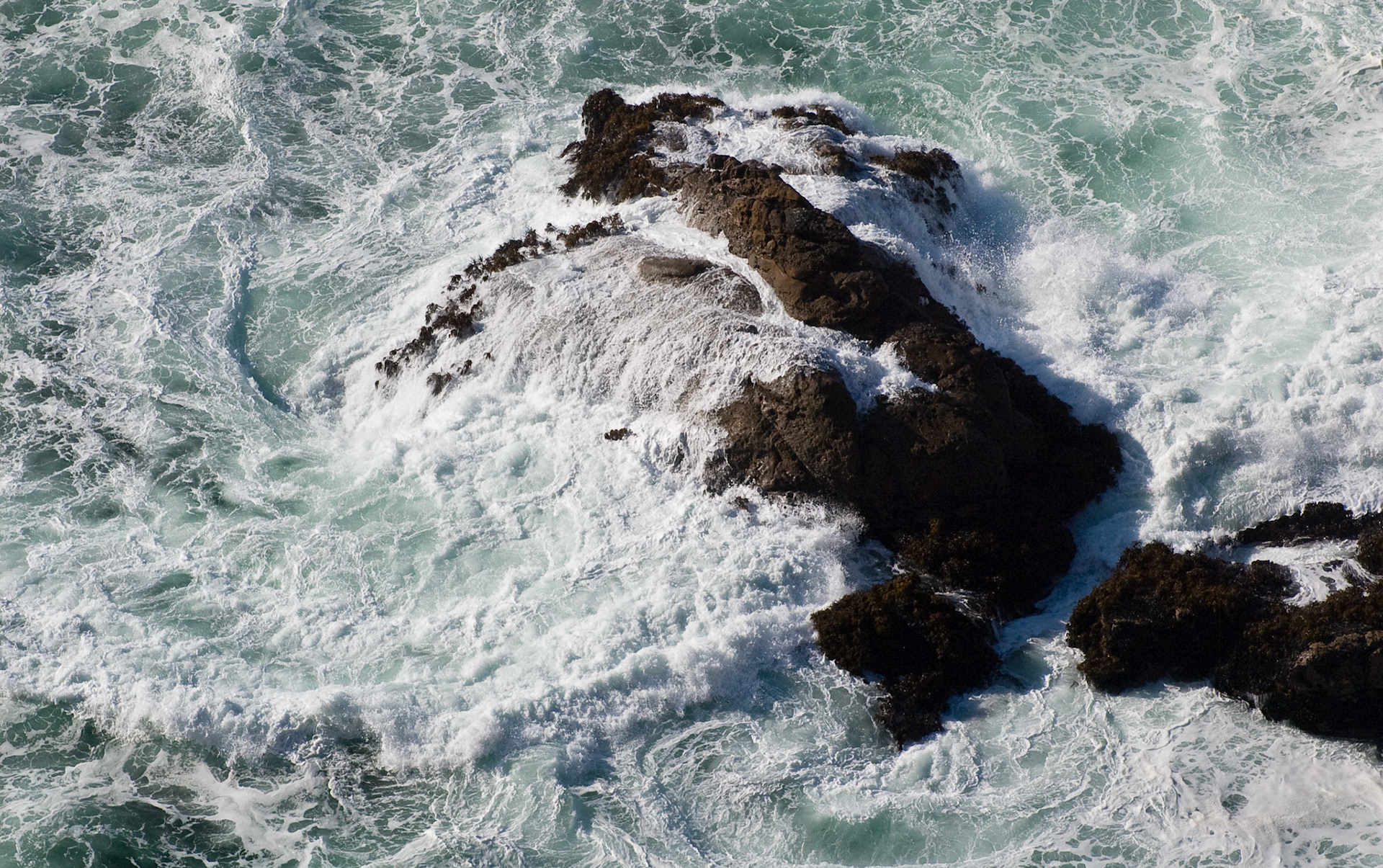 Waves, Point Reyes National Seashore, September 2007