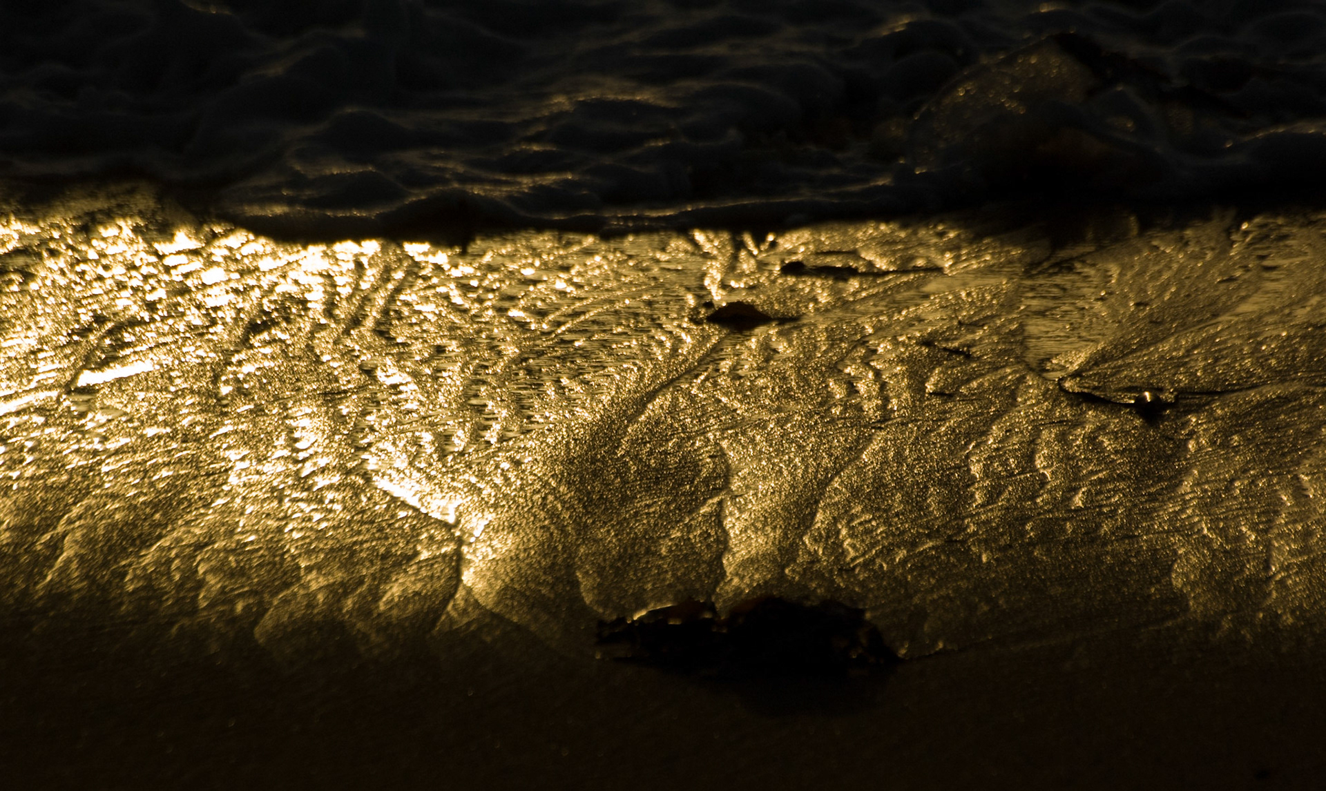 Beach at sunset, Marina, California, 2006