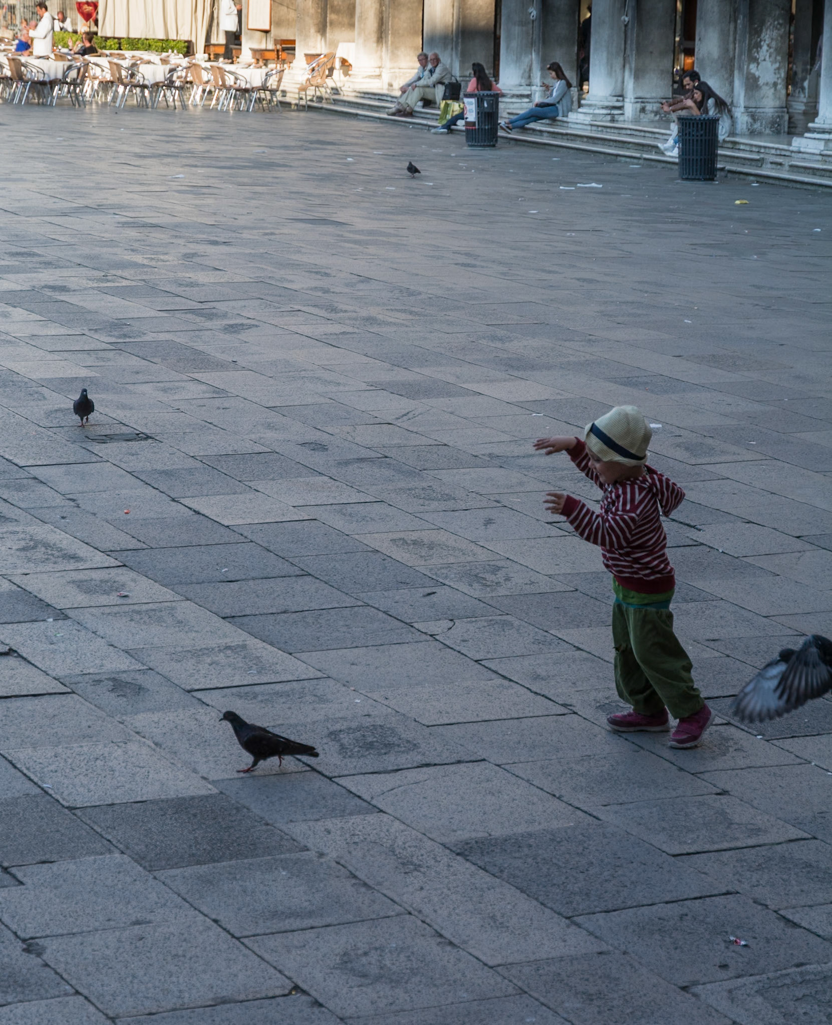 Chasing Pigeons in St. Mark's Square, Venice, 2016