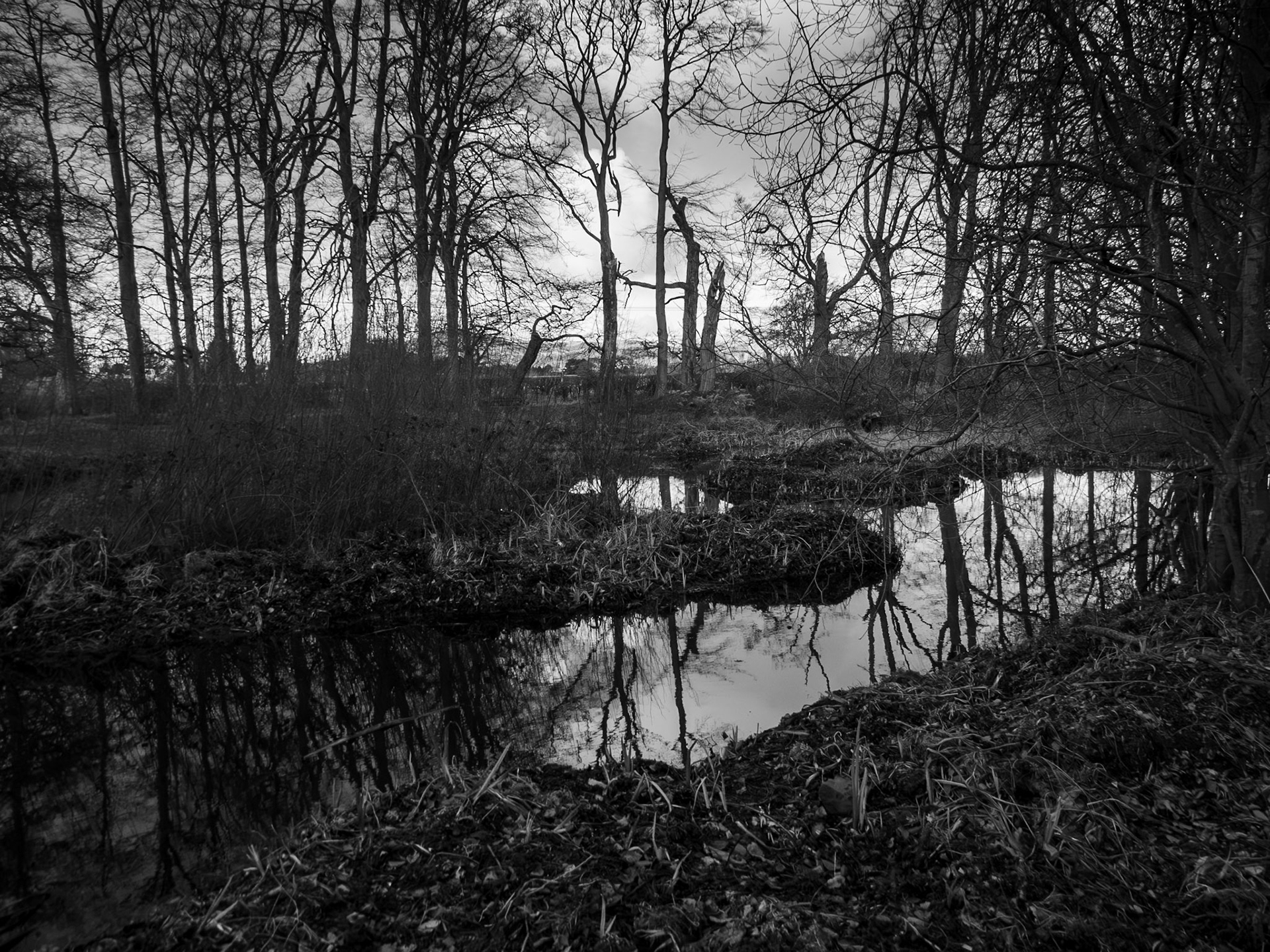 Roslin Moat, 2026