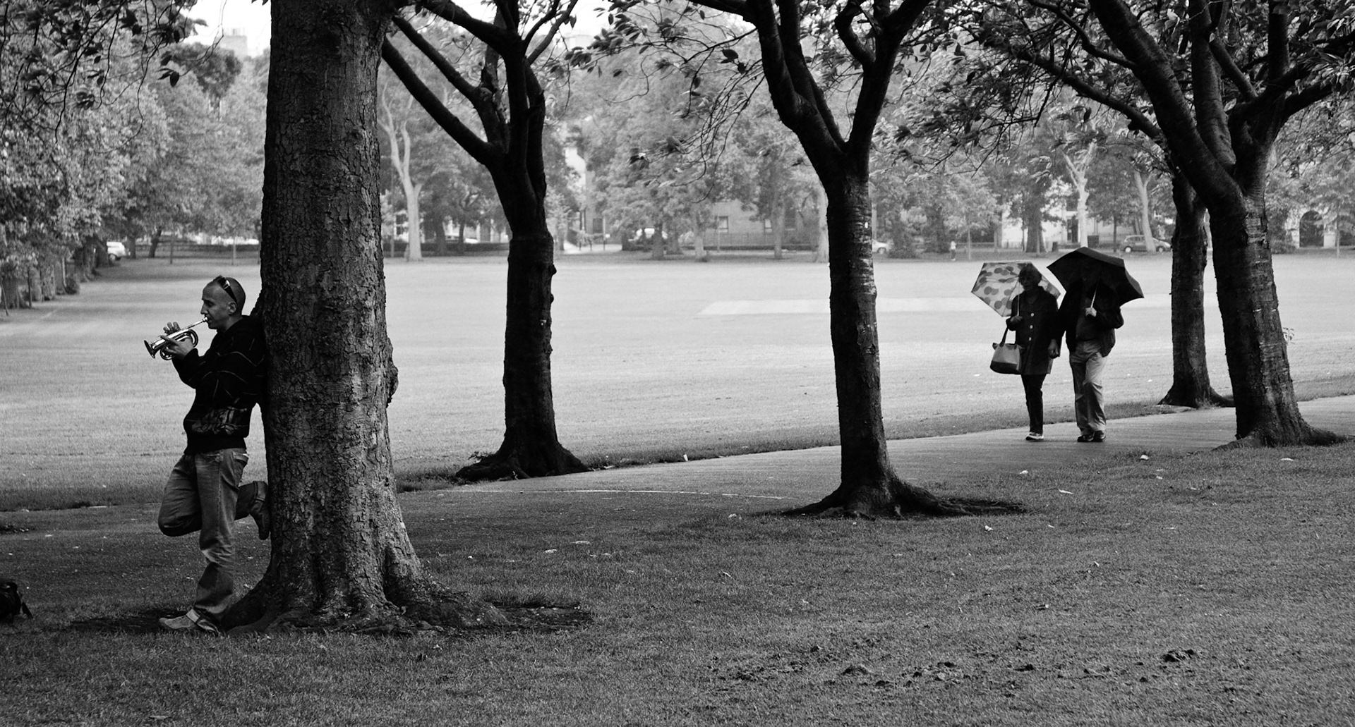 Trumpeter, The Meadows, Edinburgh, 2009