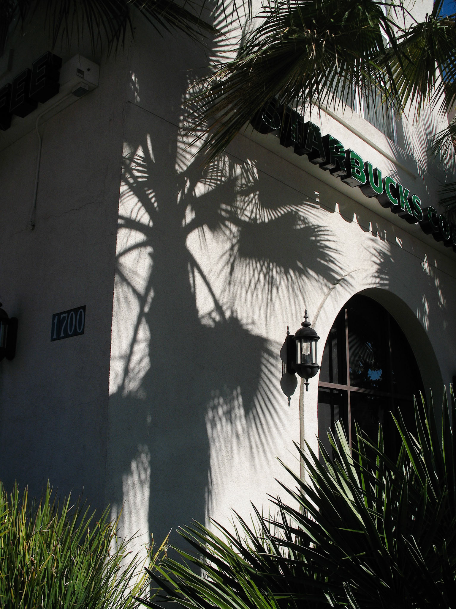 Starbucks, San Jose, California, 2007