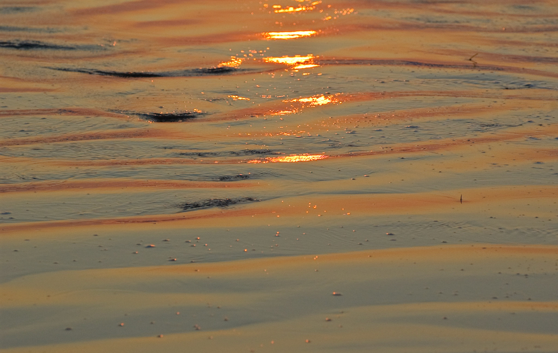 Waves at sunset, Grover Beach, California, 2008