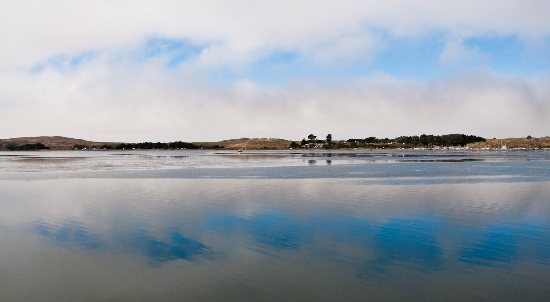 Bodega Bay, California, 2010