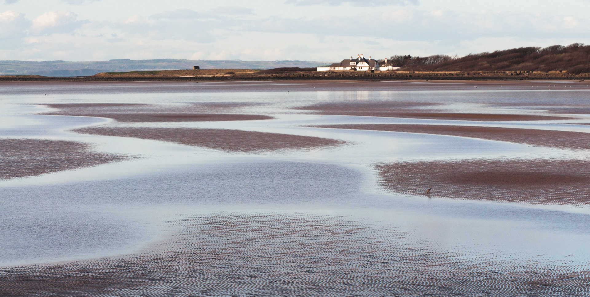 Mud flats, Longniddry Bents, East Lothian, 2012