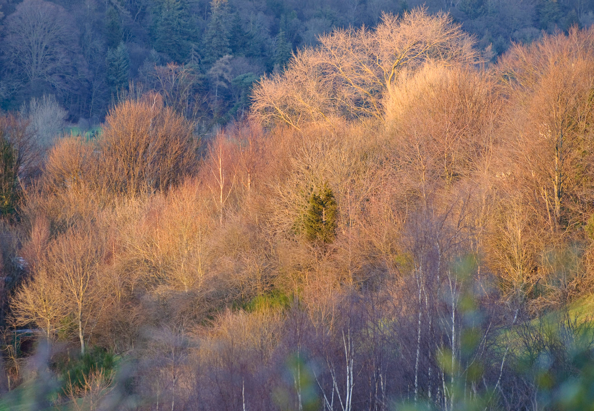 Esk Valley, Midlothian, 2010